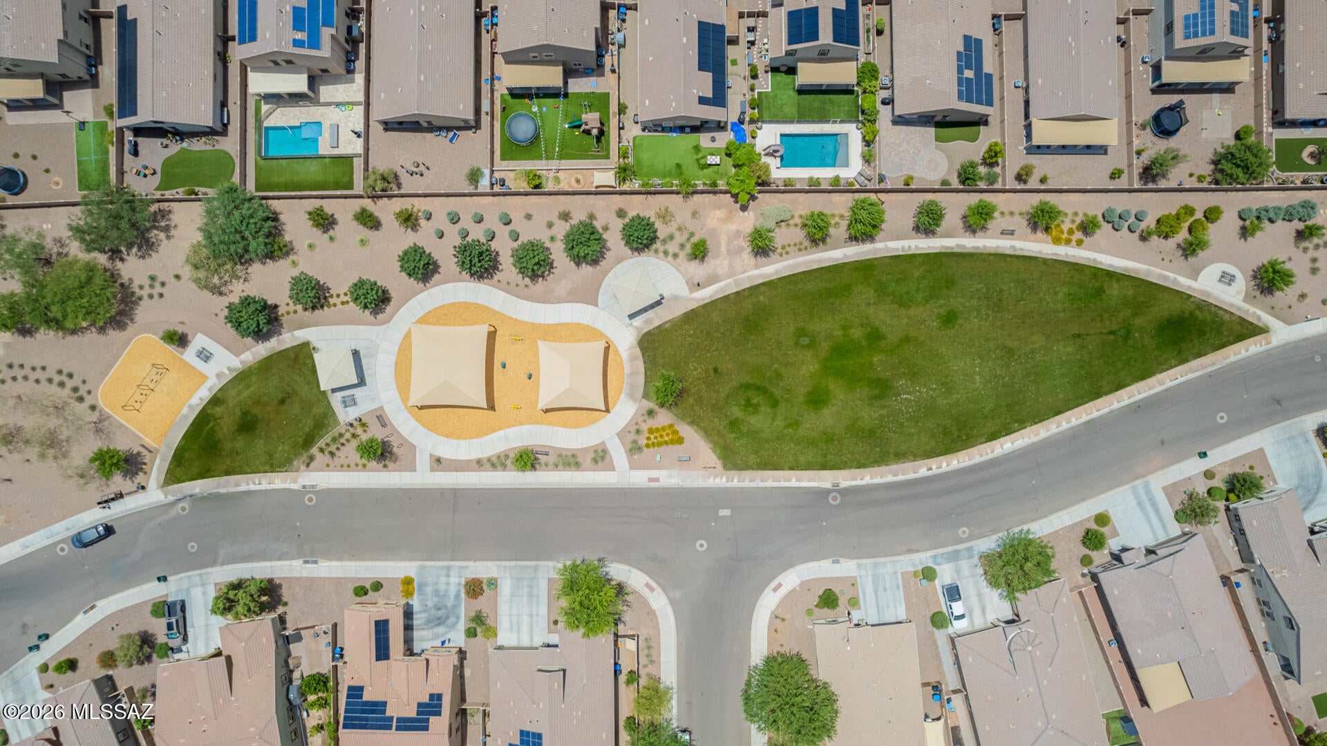 Saguaro Bloom - Residential
