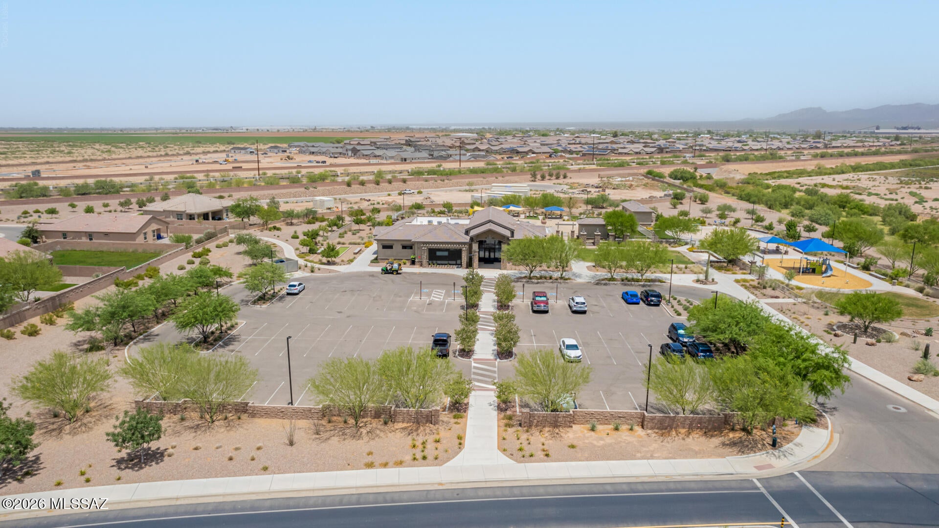 Saguaro Bloom - Residential
