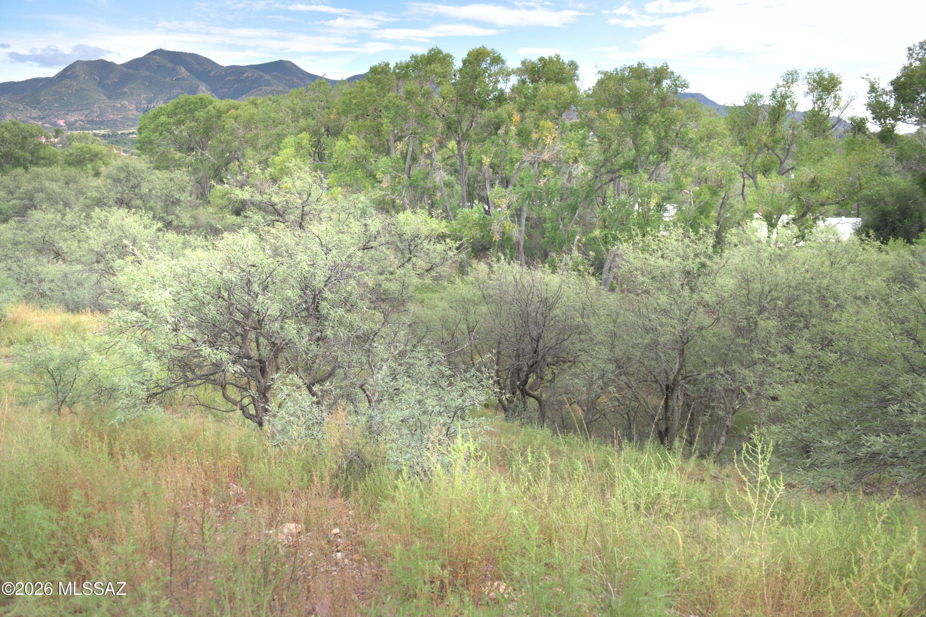 Patagonia Townsite - Land