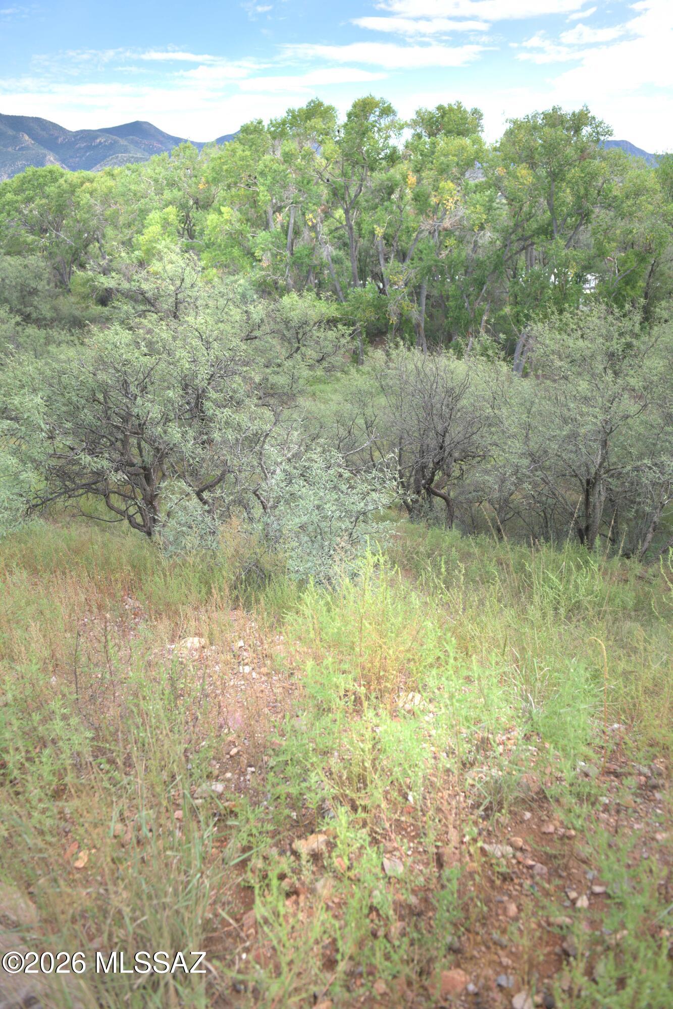 Patagonia Townsite - Land