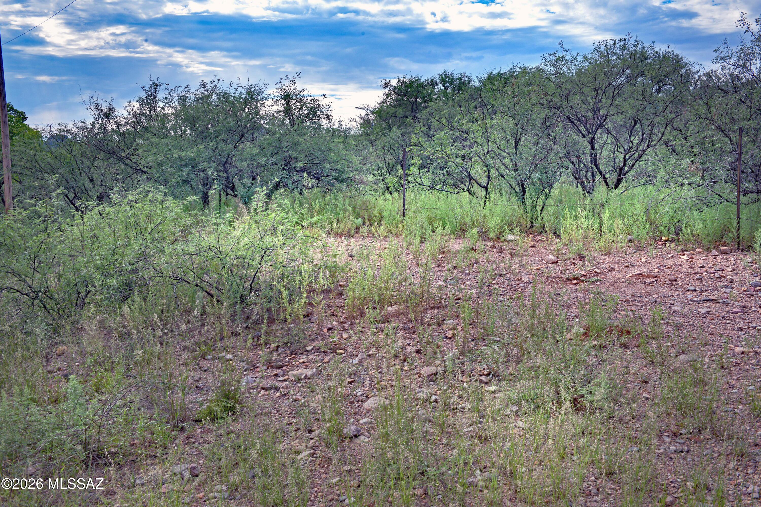Patagonia Townsite - Land