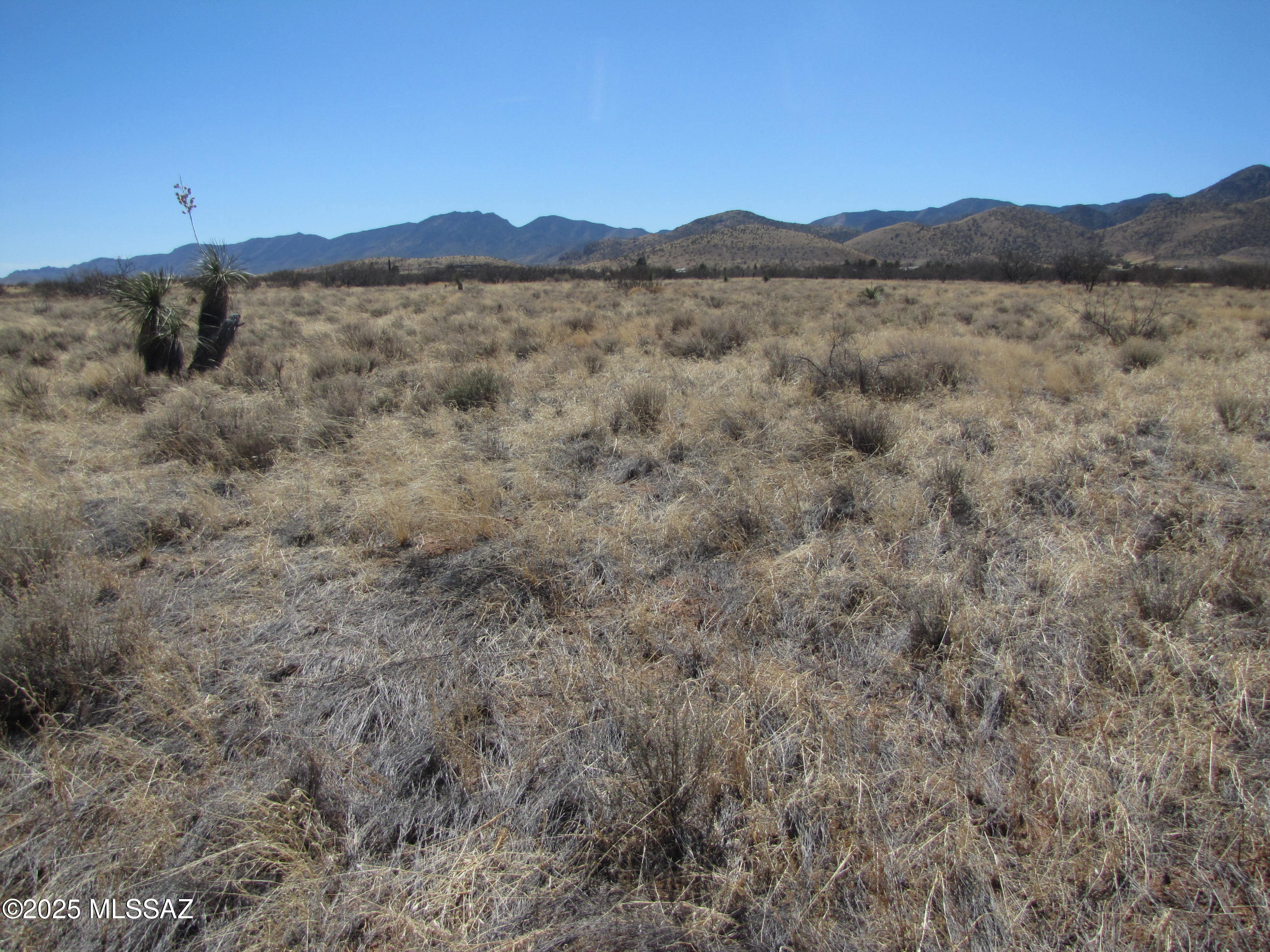 Magnificent view of Cochise Stronghold and the Dragoon Mountains from this 1.17ac residential parcel. Less than 4/10 mile off paved County maintained Desert Rd, with easy access to Hwy 191 and I-10. A little more than 4 miles from the friendly village of Sunsites with its amenities. County zoning is SR-43 allowing only site-built homes. Dark skies, country living ...come see what this beautiful area has to offer!