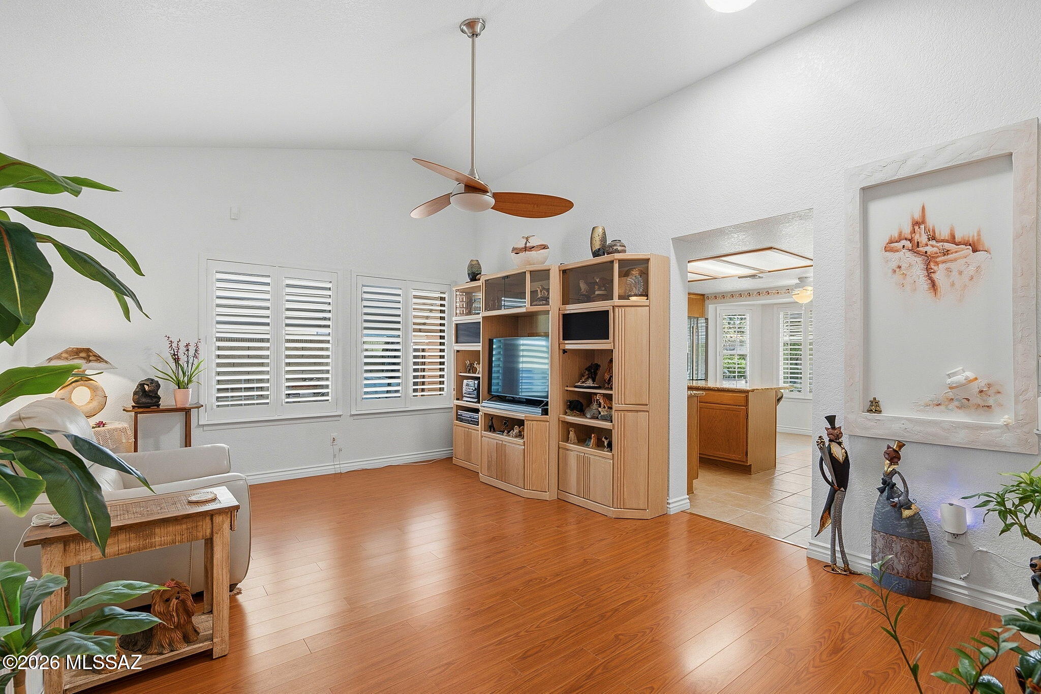 Elliott Homes At Rita Ranch (1-521) - Residential