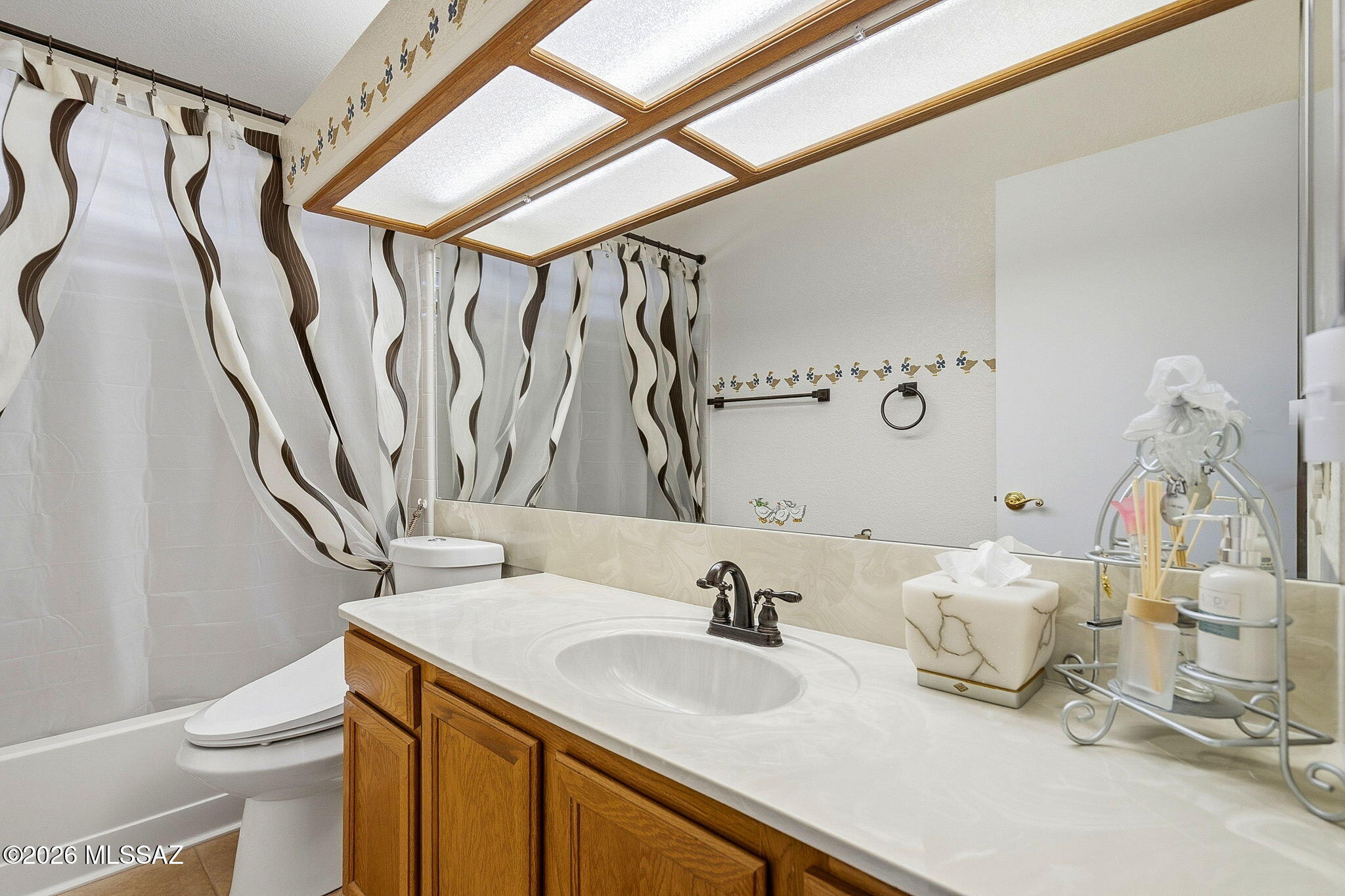 Elliott Homes At Rita Ranch (1-521) - Residential