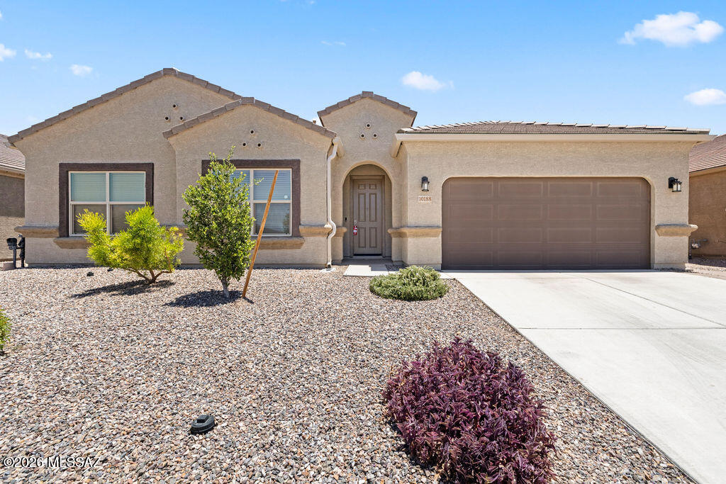 Saguaro Bloom 7B - Residential