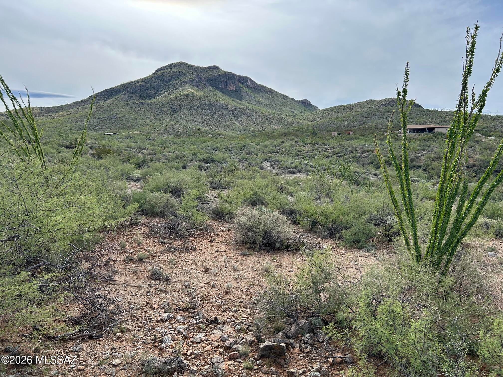 Discover the perfect blend of privacy, wide open space, and convenience on this exceptional 9.25 acre parcel.  Located just 5.2 miles south of Hwy 83 on this approximately 45 minutes from downtown Tucson, this property offers a peaceful ranch-style setting without being too far from everyday amenities. Enjoy spectacular mountain and city views, expansive desert skies, and plenty of room to create your ideal custom home, ranch retreat, or horse property. Water and electric are available to the lot, providing a great head start for future development. Horses are allowed, making this an excellent opportunity for those looking to embrace the Southern Arizona ranch lifestyle. Experience the tranquility and privacy of country living while still being within convenient reach of shopping, Experience the tranquility and privacy of country living while still being within convenient reach of shopping, restaurants, and Tucson. With 9.25 acres to call your own, breathtaking views, and utilities available, this is a rare opportunity to create your own private desert retreat.

The hill on the north side of the lot is a "no build" area.  Please see attached map.
