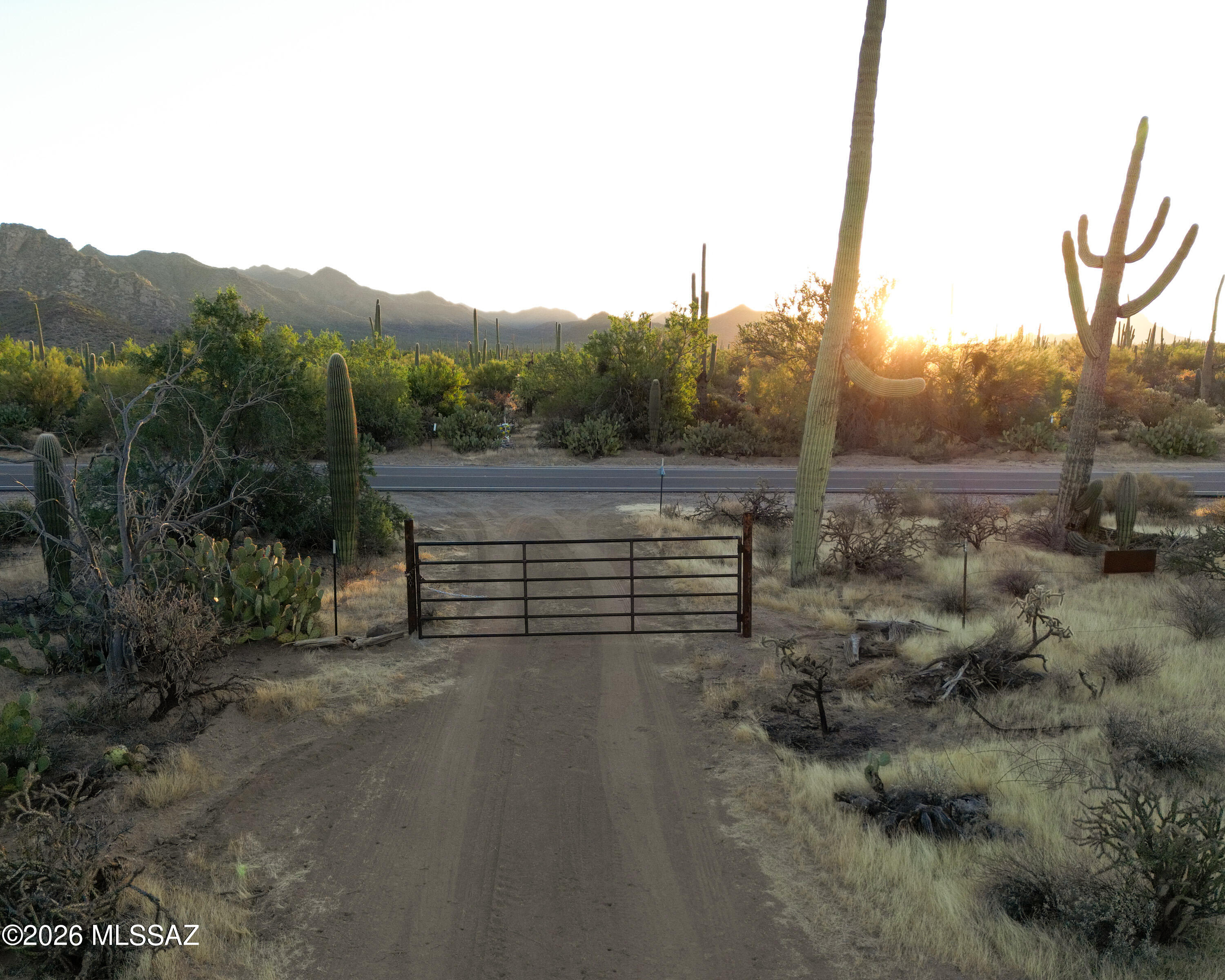 Discover an incredible chance to own raw desert land in one of Tucson's most sought-after natural settings. Each parcel is 4.4 acres and sits directly adjacent to Joshua Tree Inn which borders Saguaro National Park West. Multiple trailheads within the national park are just minutes away, with stunning Sonoran Desert and mountain views that never get old. Infrastructure is already in place with water and power roughed in and ready for your build. Lot D also features a brand new septic system. Nestled alongside the world-renowned Arizona-Sonoran Desert Museum, opportunities like this simply don't come around often.