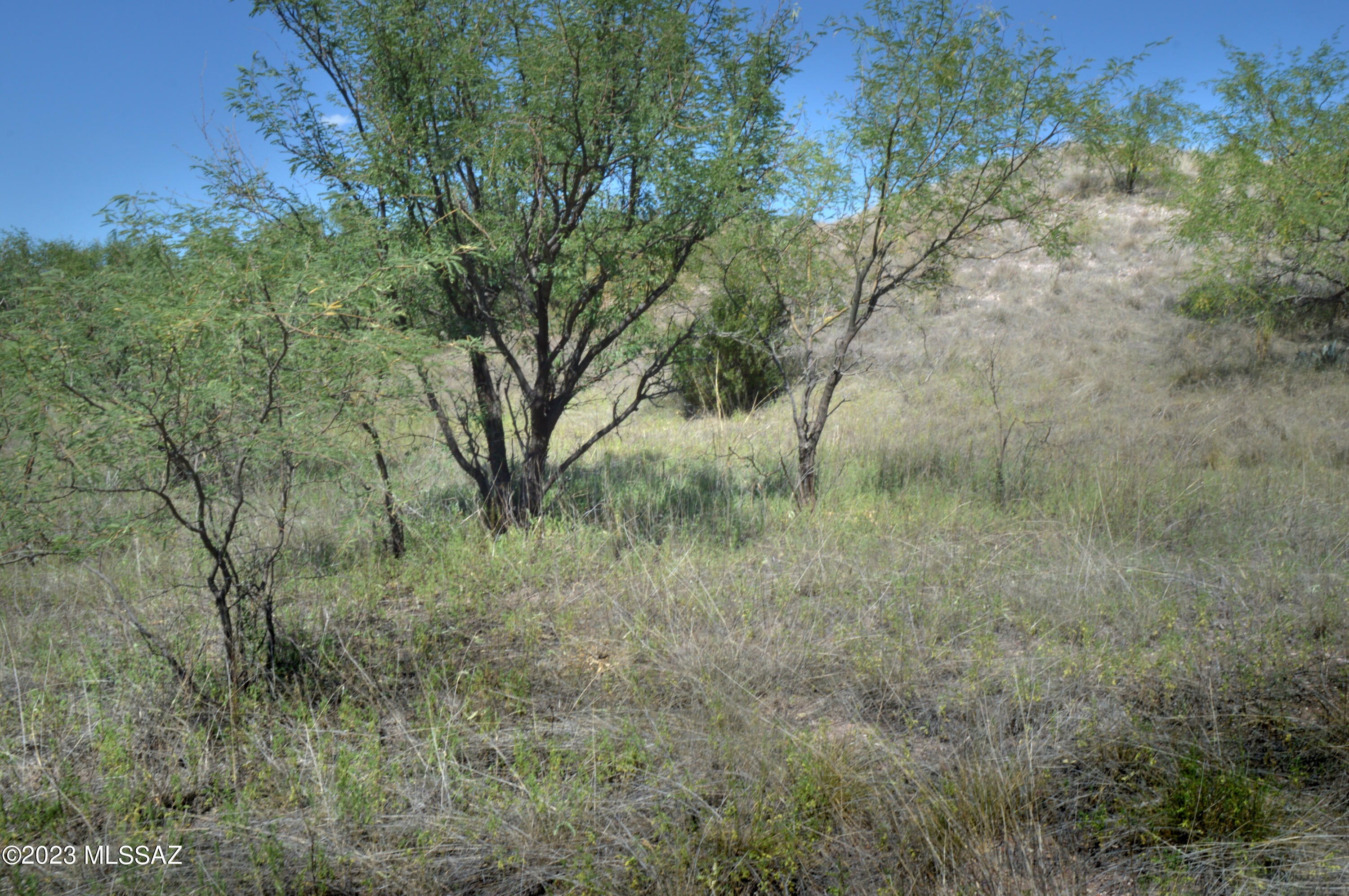 Three Canyons - Land
