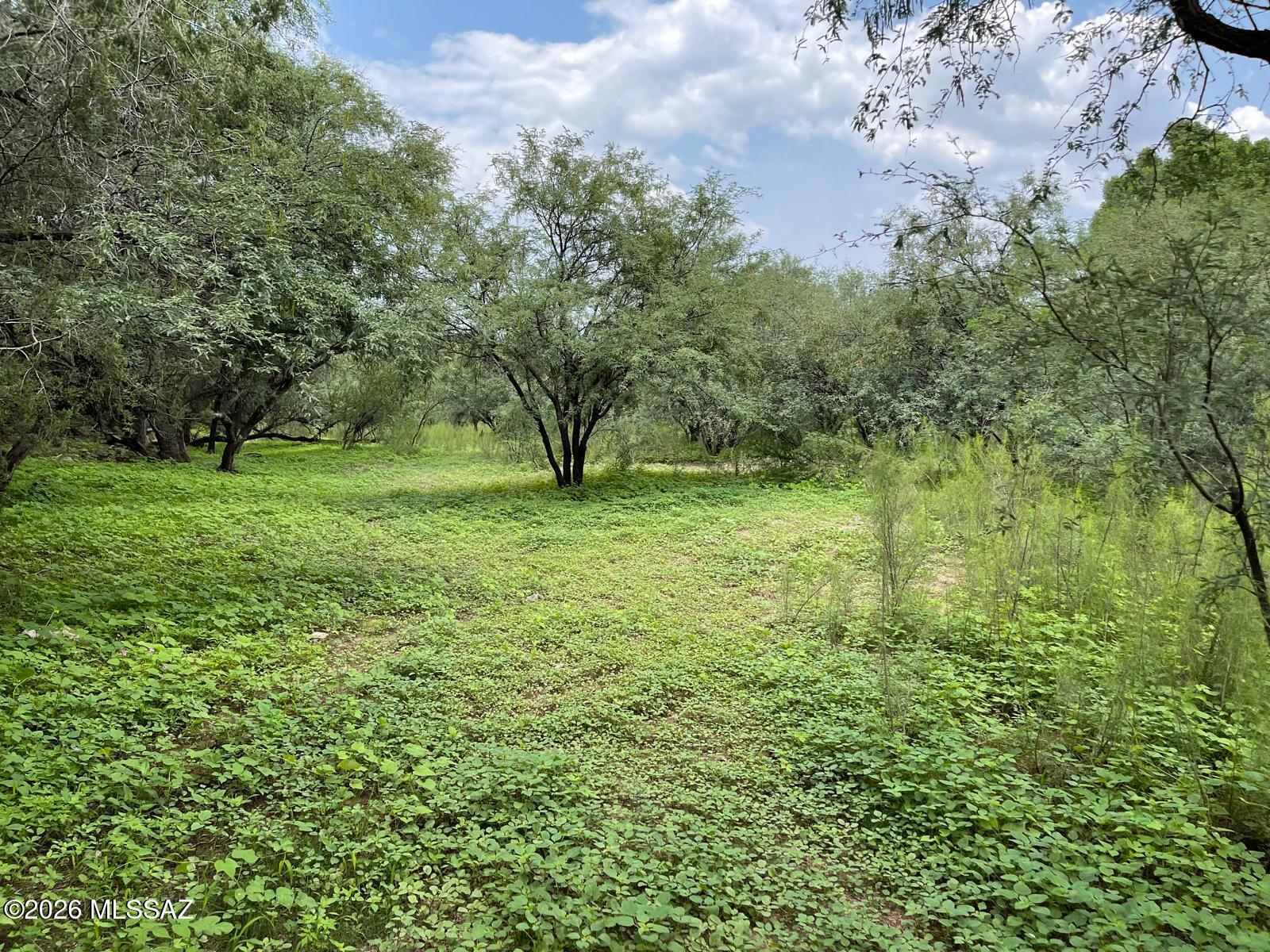 Sonoita Creek Ranch Unit 2 - Residential