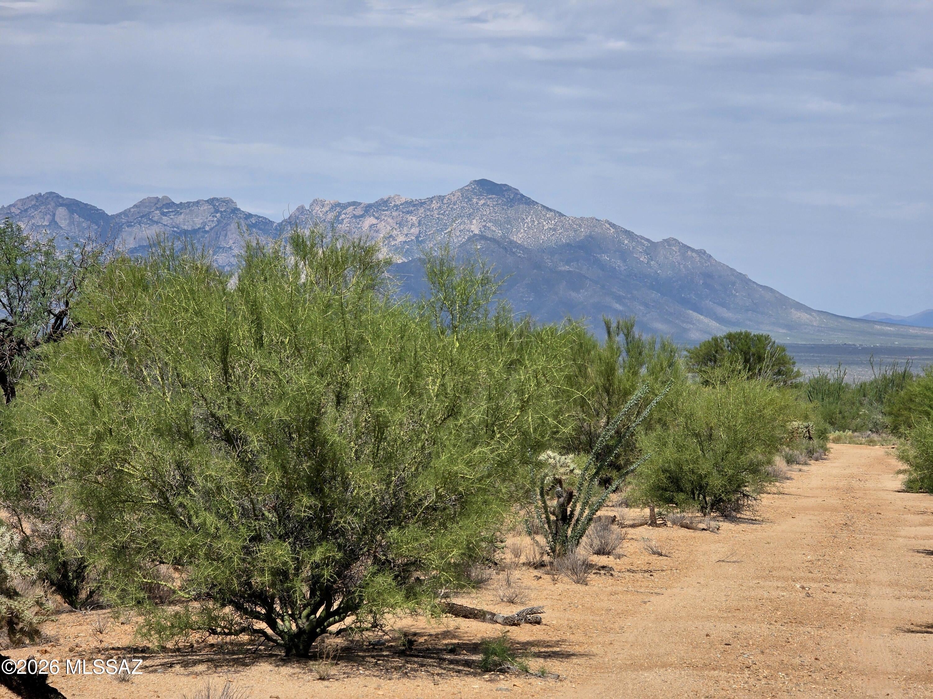 Diamond Bell Ranch - Tucson Unit 12 (1-402) - Land