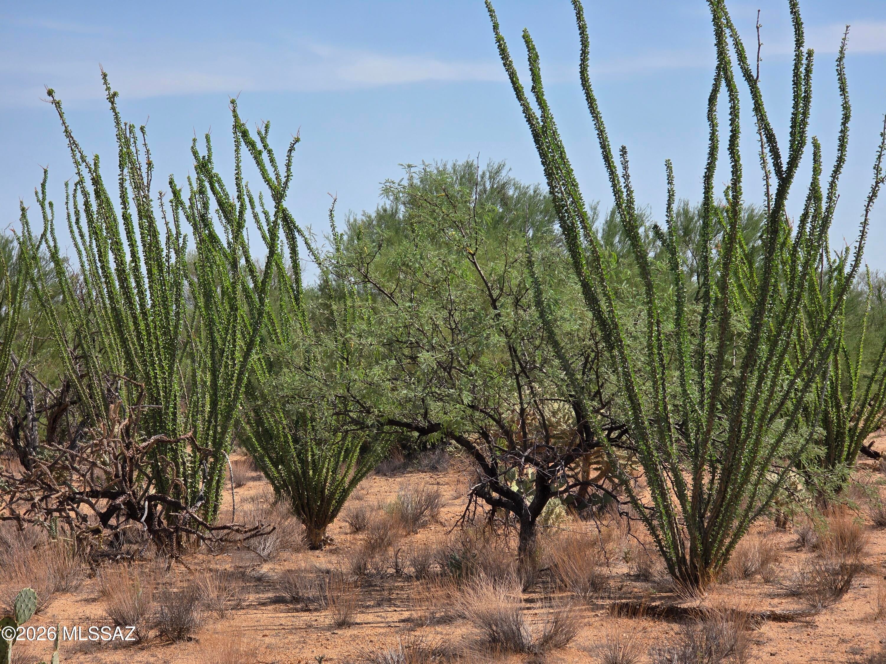 Diamond Bell Ranch - Tucson Unit 12 (1-402) - Land