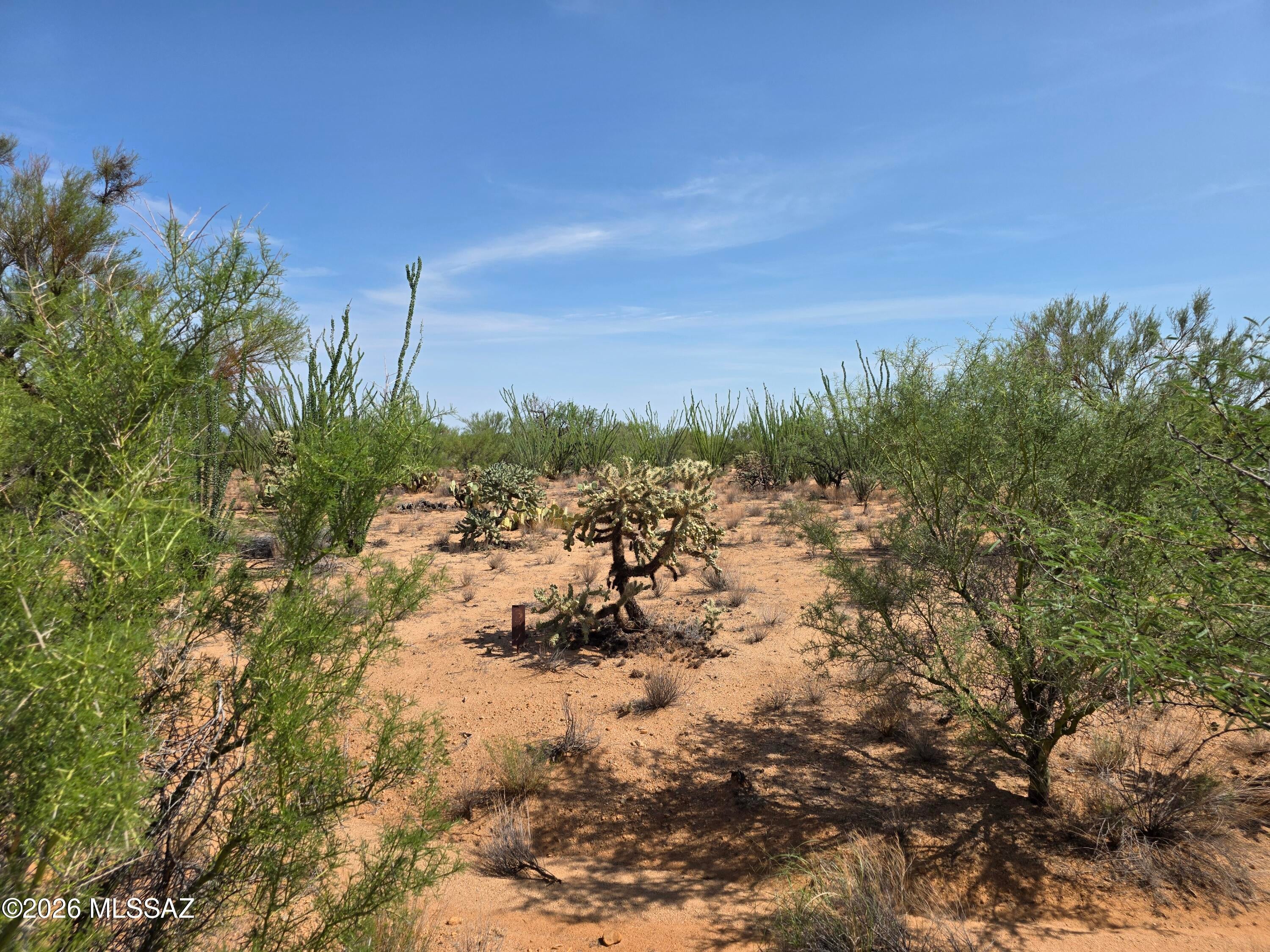 Diamond Bell Ranch - Tucson Unit 12 (1-402) - Land