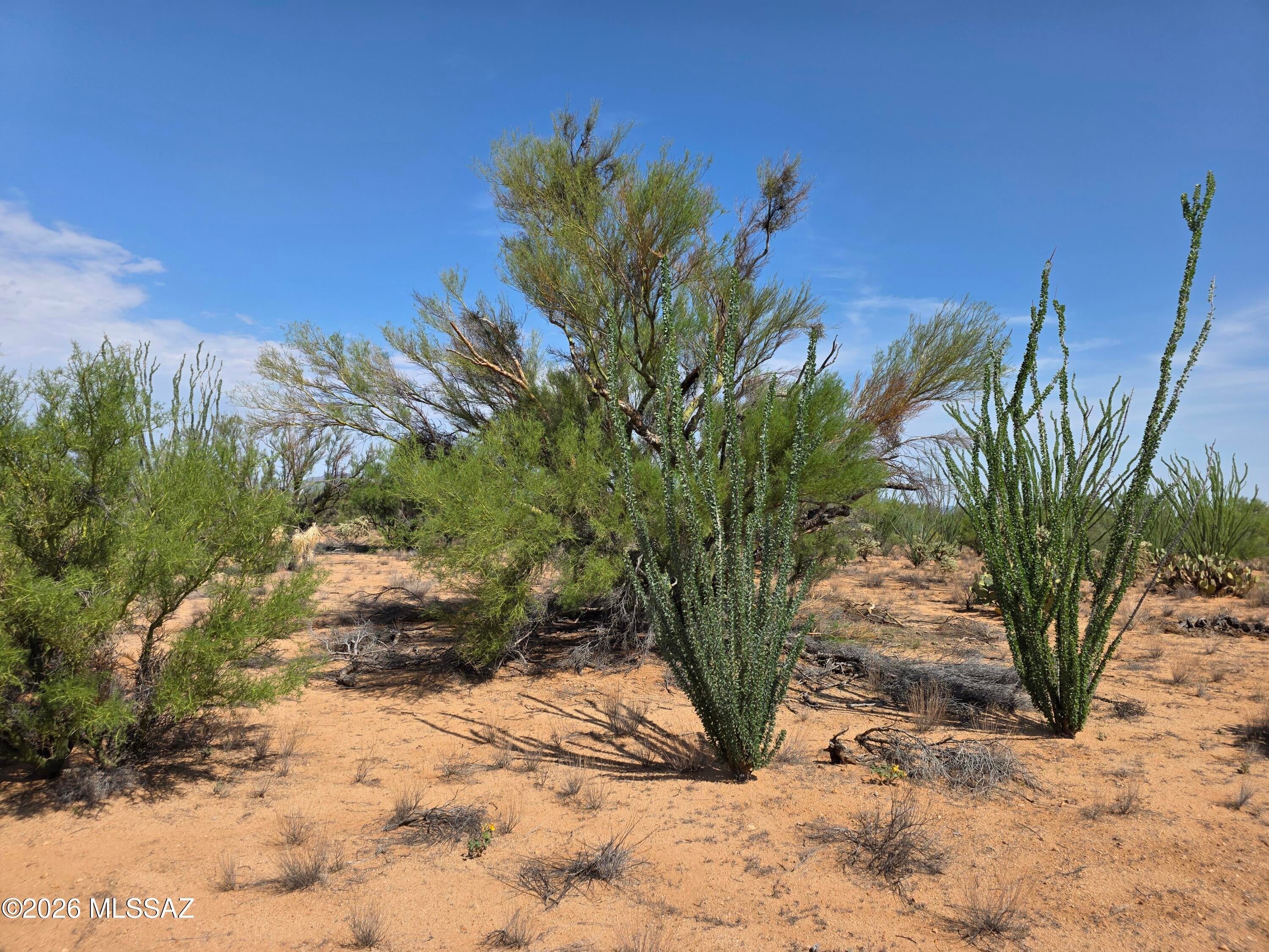 Diamond Bell Ranch - Tucson Unit 12 (1-402) - Land