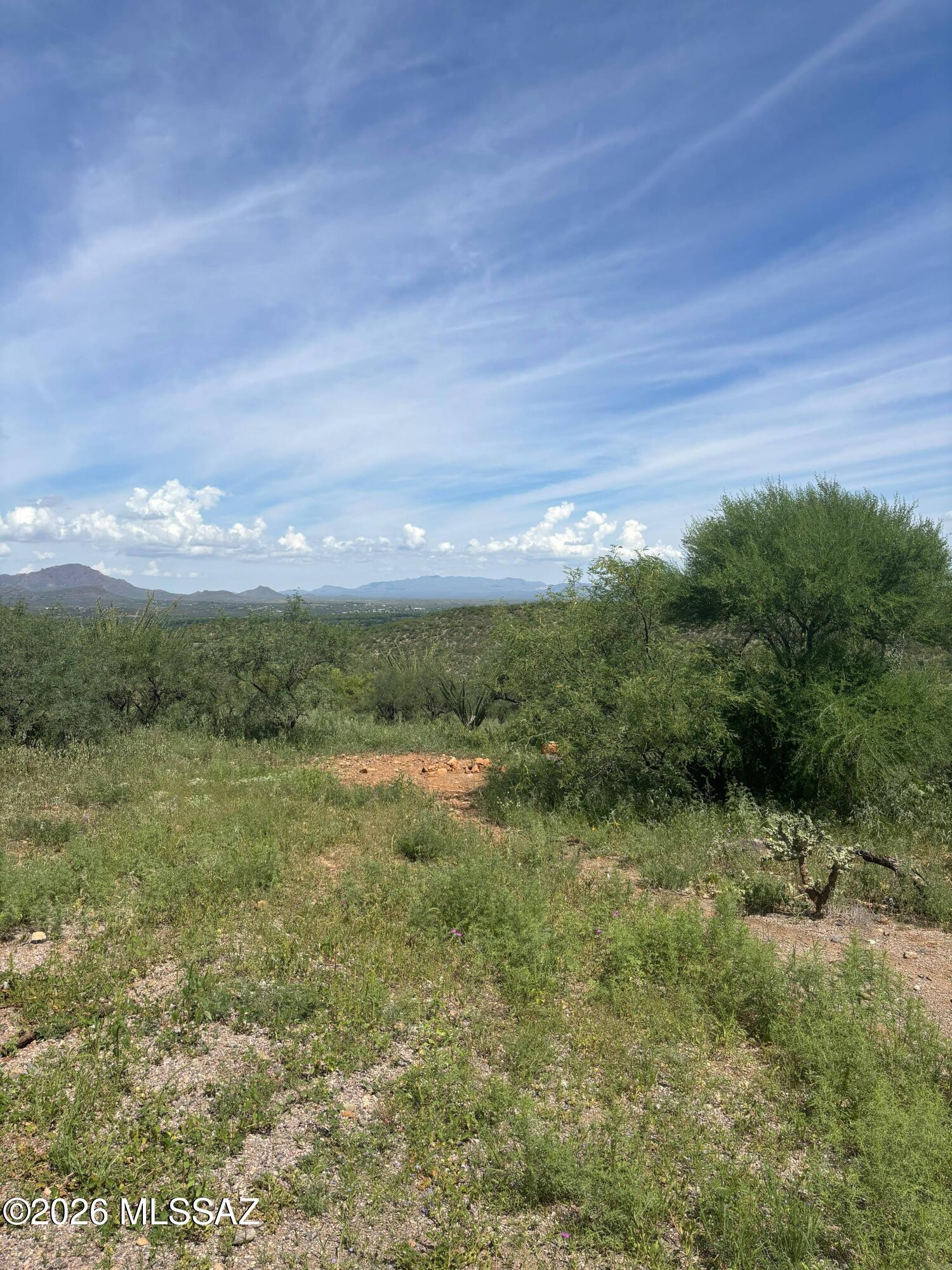 Rio Rico Estates 16 - Land