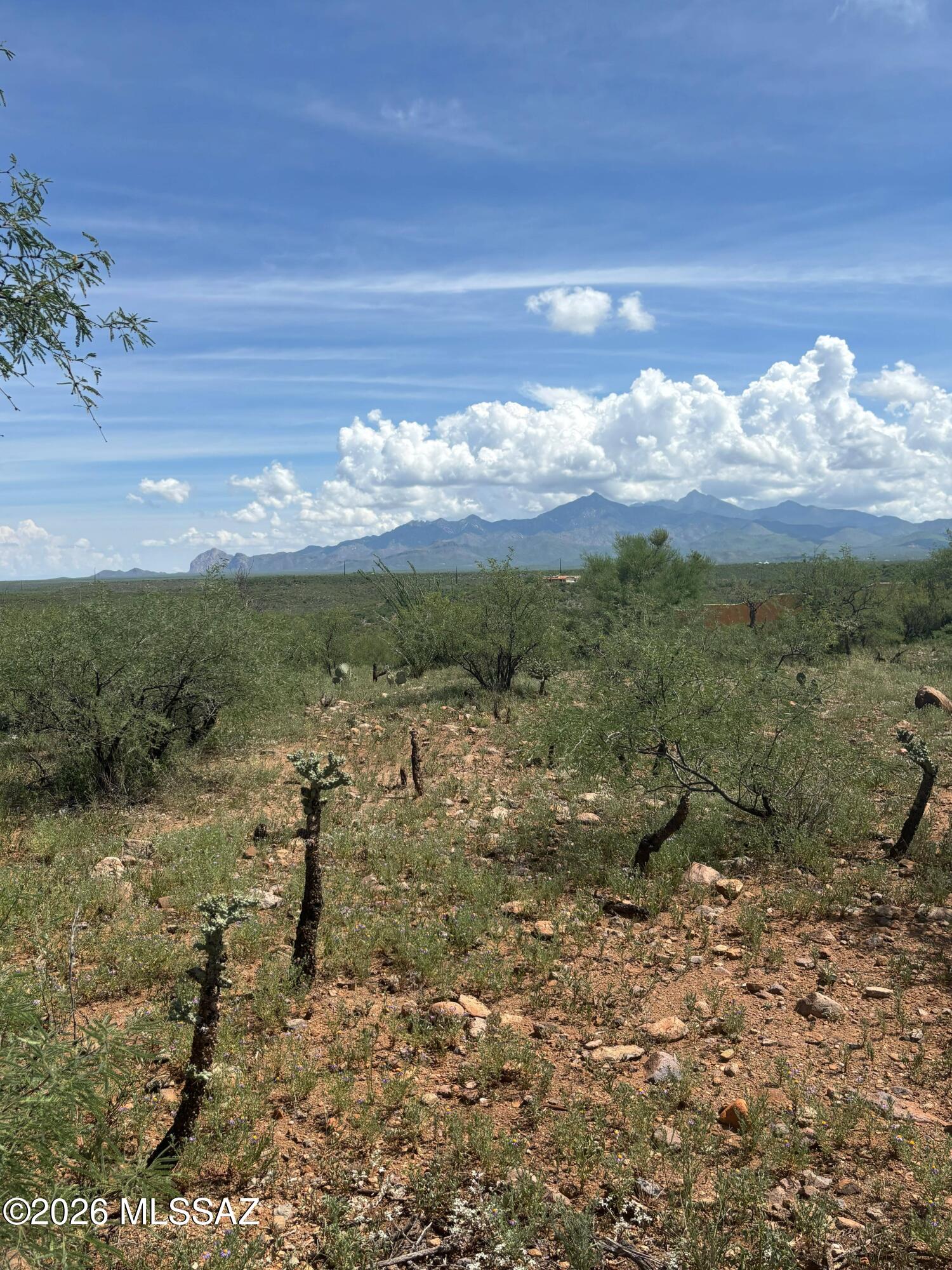 Rio Rico Estates 16 - Land