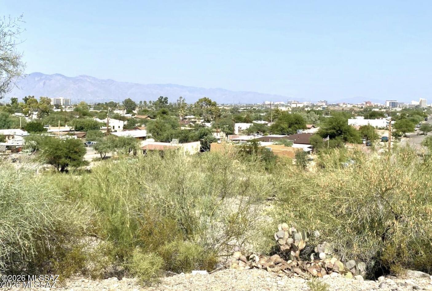 Silverbell & Ironwood - Land