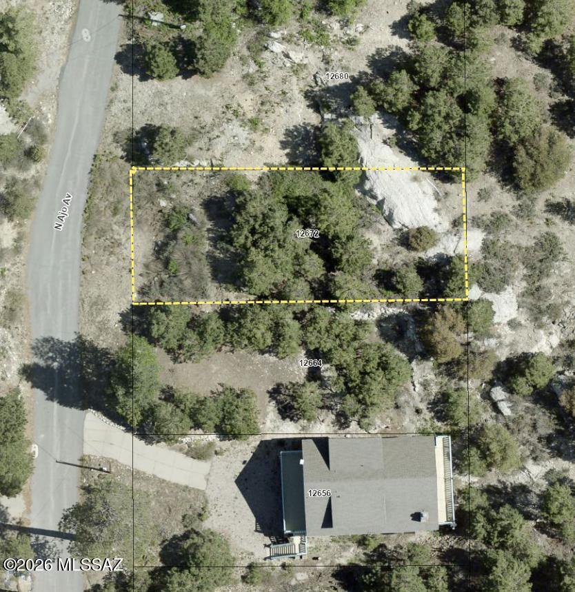 Great buildable 6,305 sqft lot with slight slope in the trees. Lot has nice views looking out of over Summerhaven. Has year round access and backs up onto large common area. Don't miss out on building your dream cabin in Mt. Lemmon!