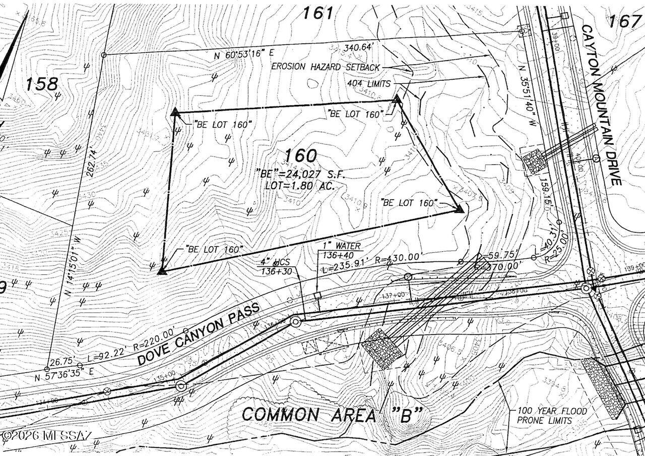 Canyon Pass At Dove Mountain - Land