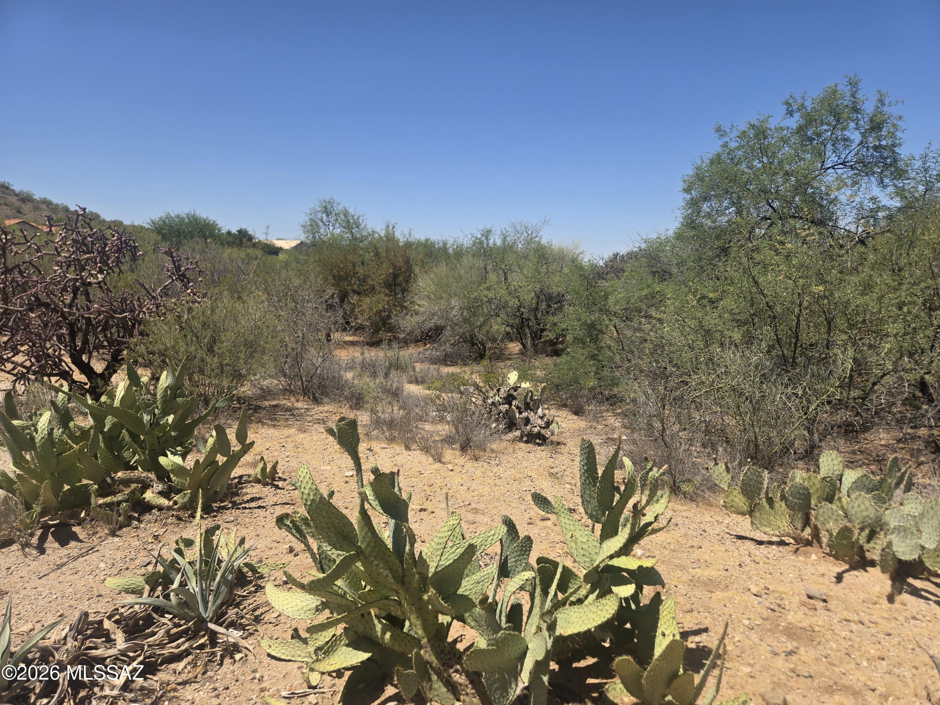 Luxury custom home lot with stunning mountain views and exceptional privacy. Build your dream estate on this secluded parcel offering endless possibilities for custom construction, outdoor living, guest accommodations, and more. Potential exists to split the property for additional homesites (buyer to verify with Pinal County). Enjoy breathtaking scenery, peaceful surroundings, and the rare opportunity to create a one-of-a-kind luxury retreat. A truly special property with views, privacy, and potential. Electricity and Water are on SW Corner of Property