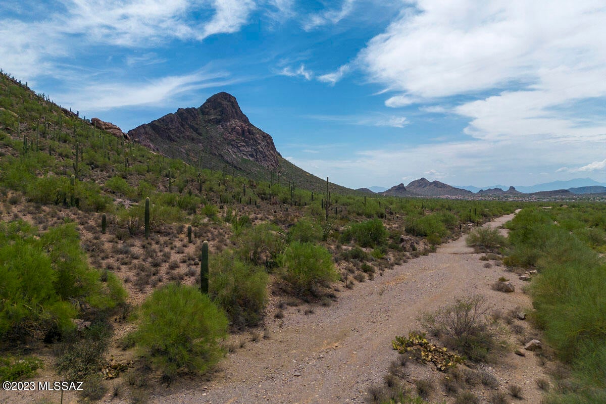 Saguaro Haven - Residential