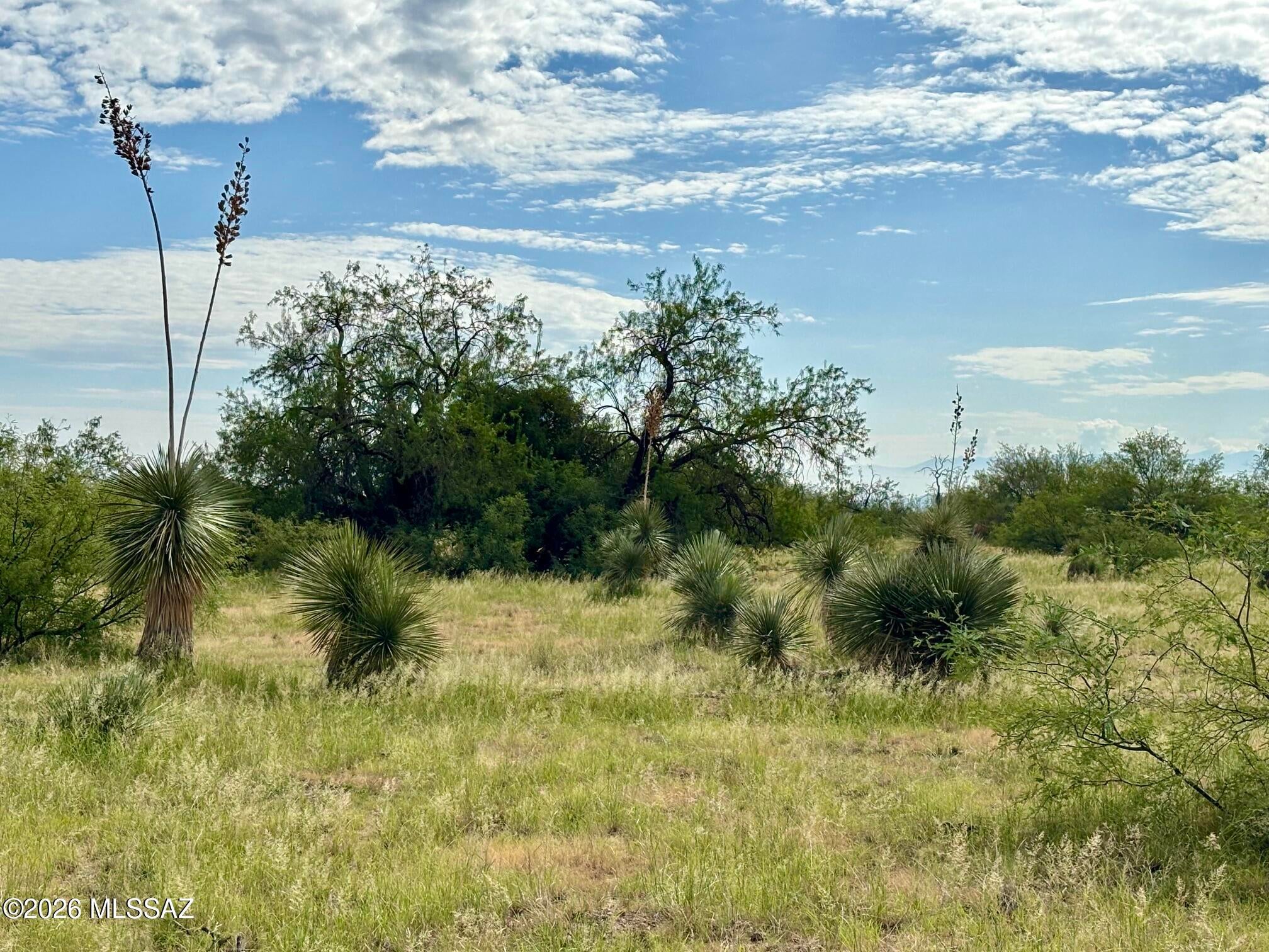 Arizona Sun Sites - Land