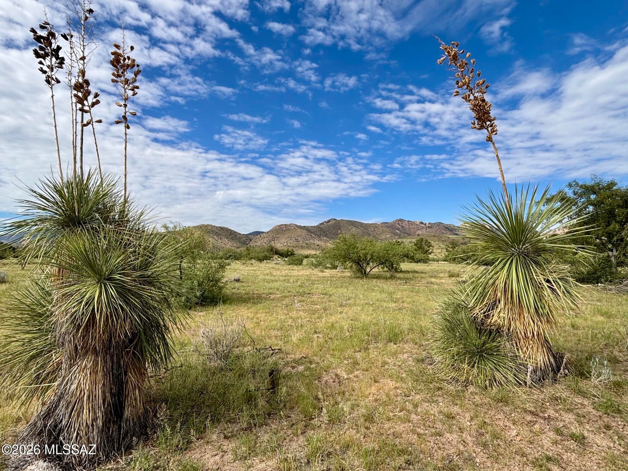 Arizona Sun Sites - Land