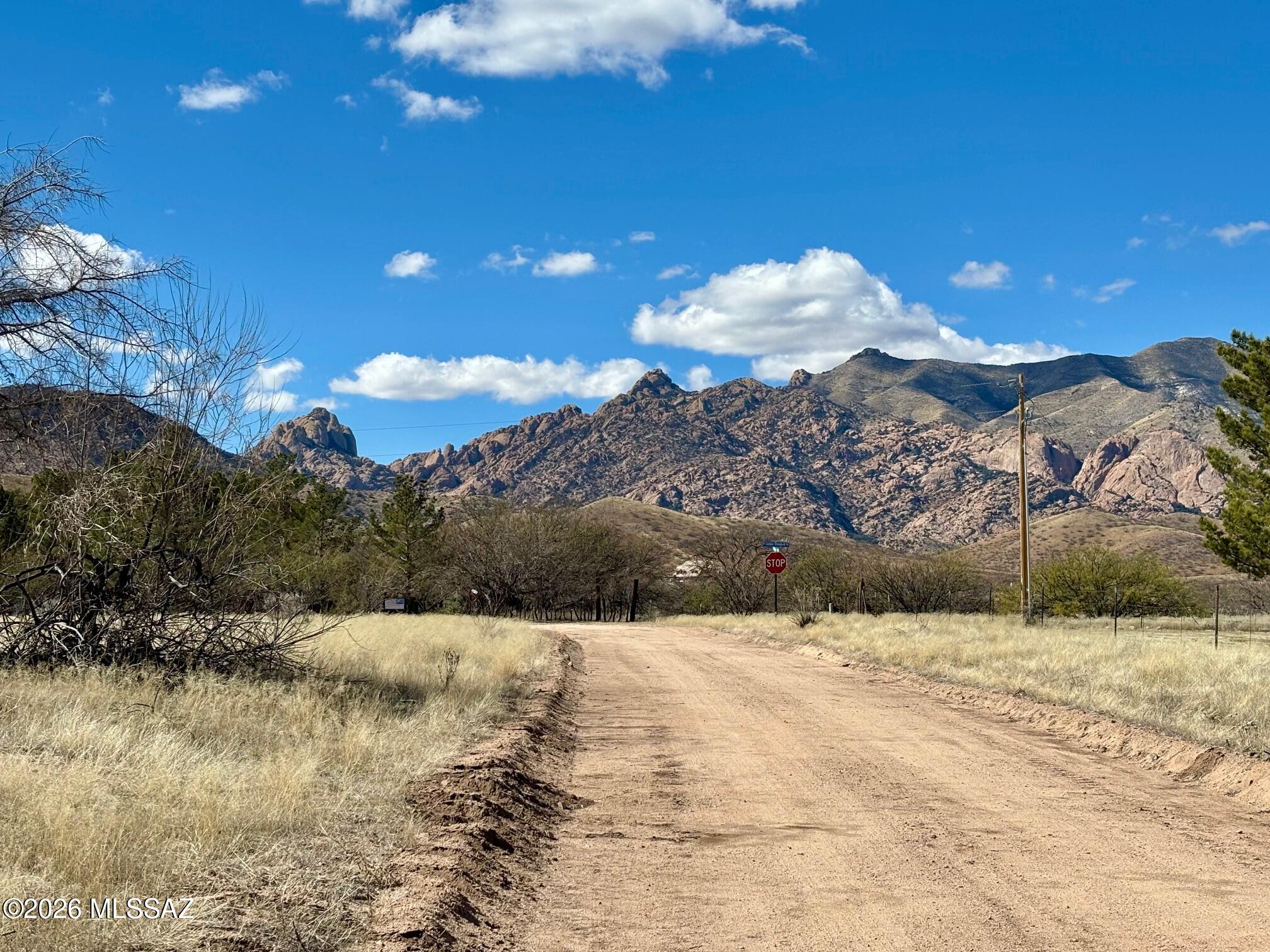 Single parcel at 1.09 Acres. on Treasure Rd and Cochise Stronghold Rd. 
Very close to the Cochise Stronghold boundary. Spectacular Mountain views.  
Good access on a County Maintained Road. Power poles across the street and behind the lot. Will need a septic system installed and a well drilled or have water delivered. Beautiful High mountain desert flora and fauna. Enjoy cooler temps in the Summer at aprox. 4500' in elevation. Zoned SR-43. NO HOA. Goes by Cochise County Zoning ordinances for SR-43