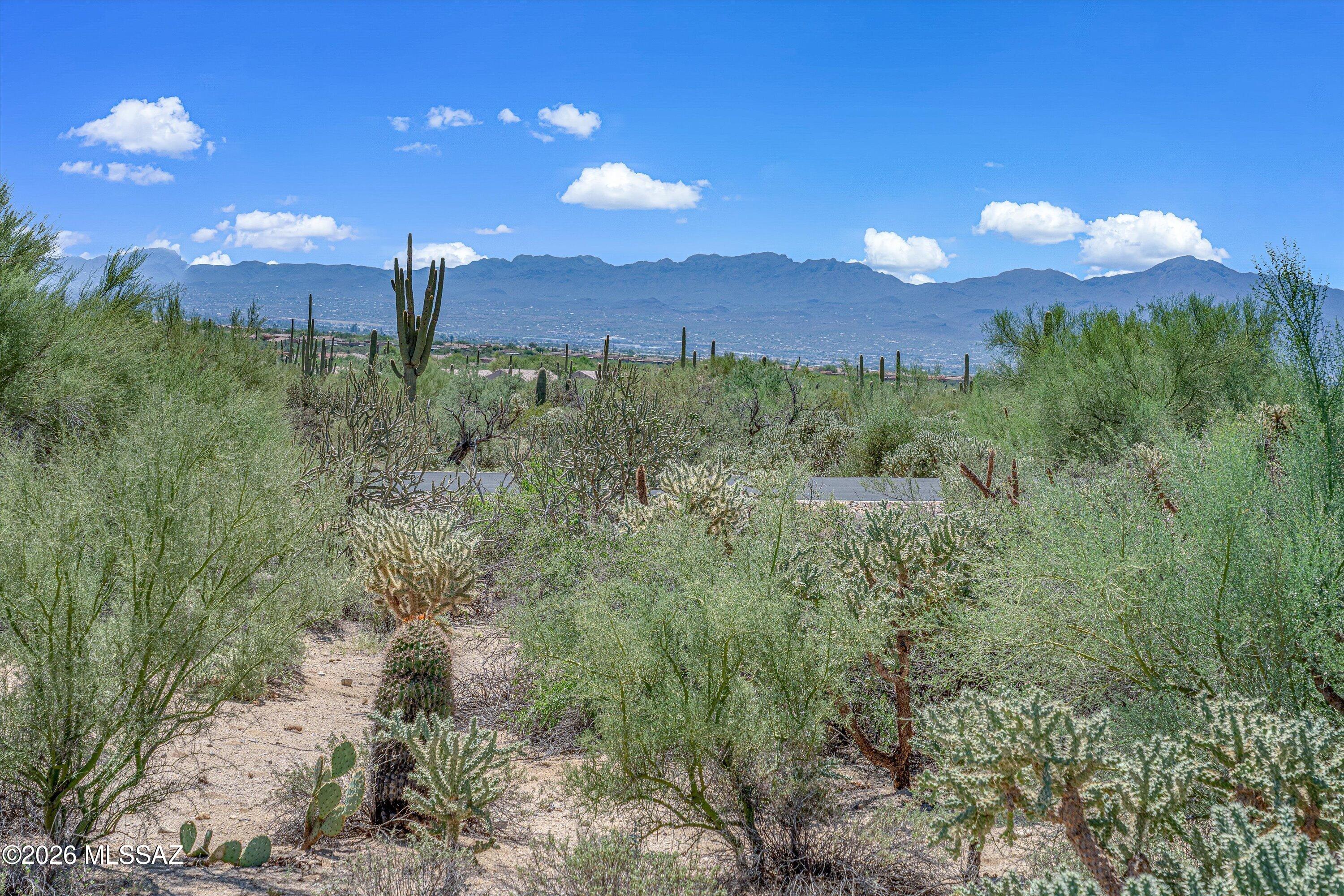 A rare opportunity to get a head start on building your dream home in gated Canyon Pass at Dove Mountain. This exceptional 2.63-acre homesite offers sweeping city and mountain views, with extensive site preparation already completed. The elevated building pad has been cleared and graded, eliminating much of the work associated with developing a raw desert homesite. A geotechnical engineering evaluation has been completed for the proposed residence area and is available in the MLS documents. Custom home plans designed for this homesite are also available. Surrounded by the dramatic beauty of the Sonoran Desert and Tortolita Mountains, this distinctive property offers an outstanding opportunity to create a custom desert retreat in one of Dove Moutain's premier gated communities.