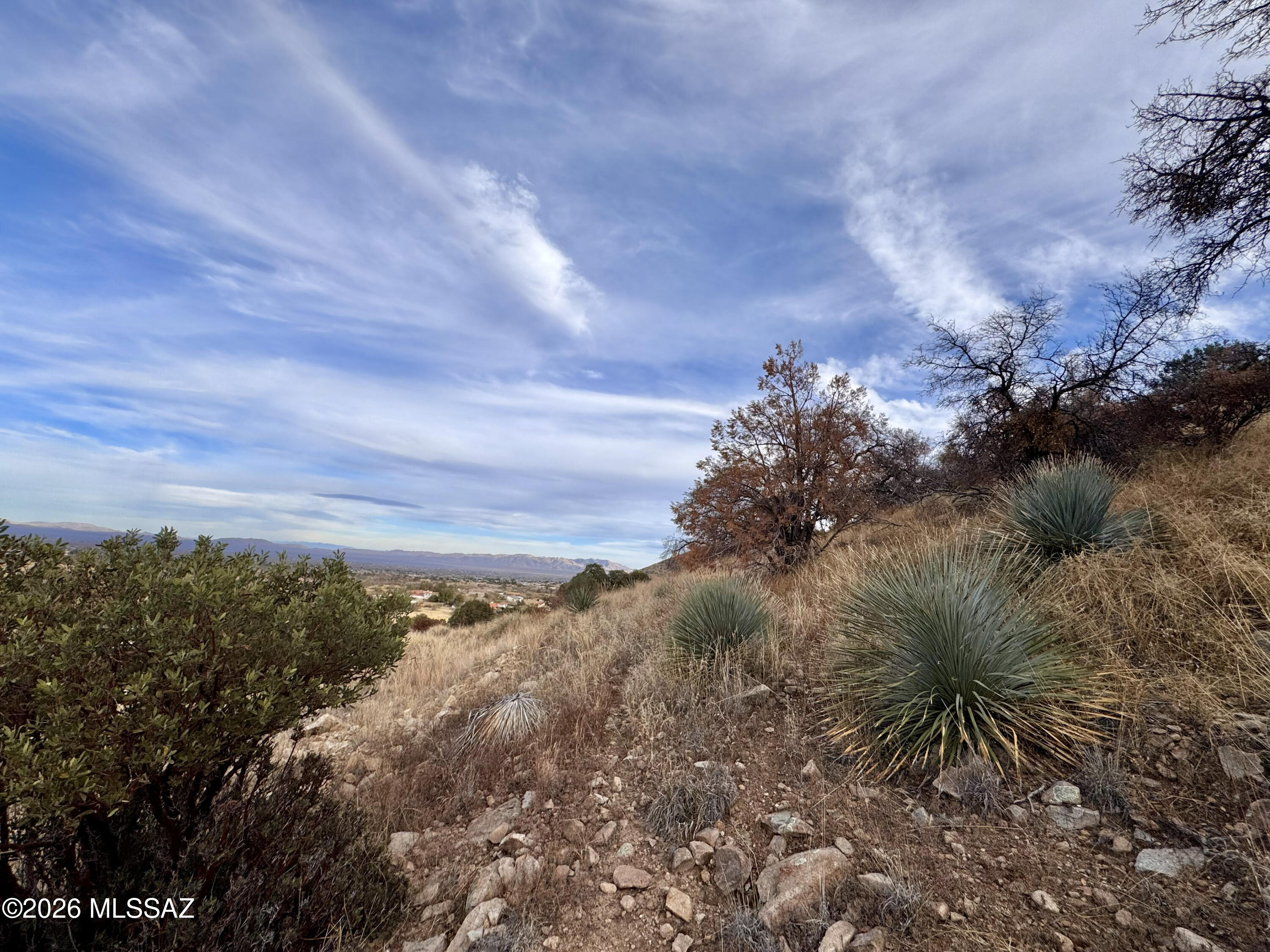 Out Of Pima County - Land