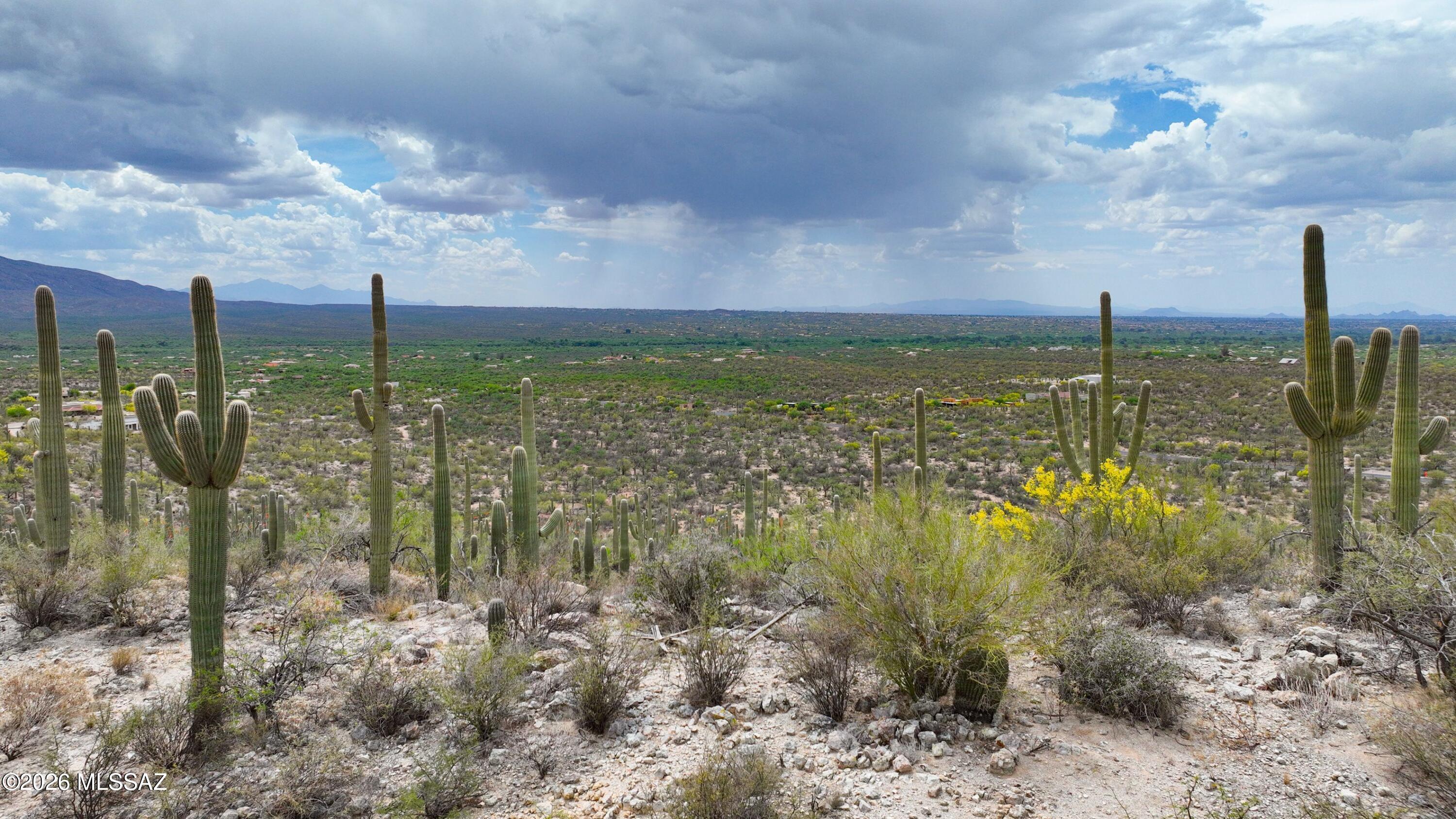 THE FINEST DEVELOPER PARCEL IN ALL OF RINCONADO ESTATES IS FINALLY NOW AVAILABLE!! BUILD HIGH ON THE RIDGE OF THIS MAGNIFICENT 3.68 ACRES OF LUSH SONORAN DESERT ON PARCEL 5 HERE IN NORTHEAST TUCSON. BEAUTIFUL, LUSH NATURAL DESERT WITH LARGE SAGUAROS AND SPECTACULAR MOUNTAIN AND CITY VIEWS! IMPECCABLE QUALITY IMPROVEMNTS AND UNDERGROUND UTILITIES IN THIS SMALL, QUIET, PRIVATE GATED 14 LOT COMMUNITY. THOUGHTFUL DESIGN GUIDELINES ENSURE VALUES AND A PREMIUM NEIGHBORHOOD. ALL AMENITIES AND GREAT SCHOOLS ARE NEARBY AS WELL AS THE SAGUARO NATIONAL MONUMENT EAST, REDINGTON PASS, THE TANQUE VERDE WASH AND AGUA CALIENTE PARK. MUST SEE! ONE OF THE PRICIPALS IS A LICENSED REAL ESTATE SALESPERSON IN THE STATE OF ARIZONA. PLEASE VISIT www.rinconadoestates.com FOR MORE DETAILS. COME VISIT TODAY!