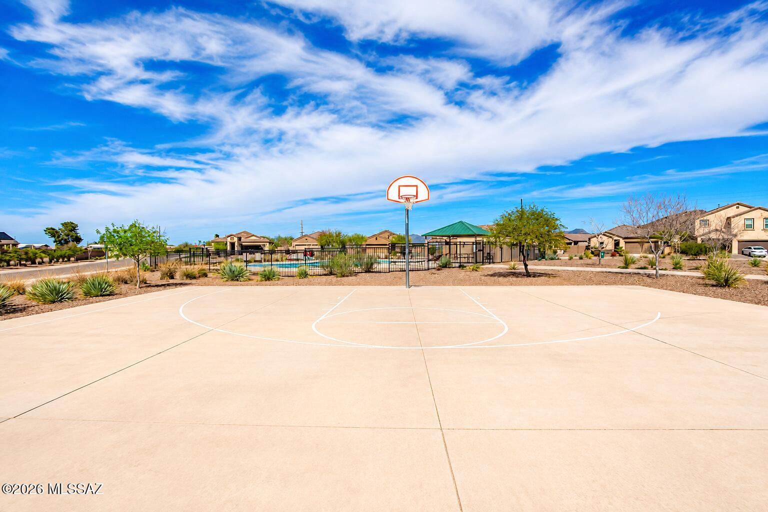 Saguaro Bloom - Residential