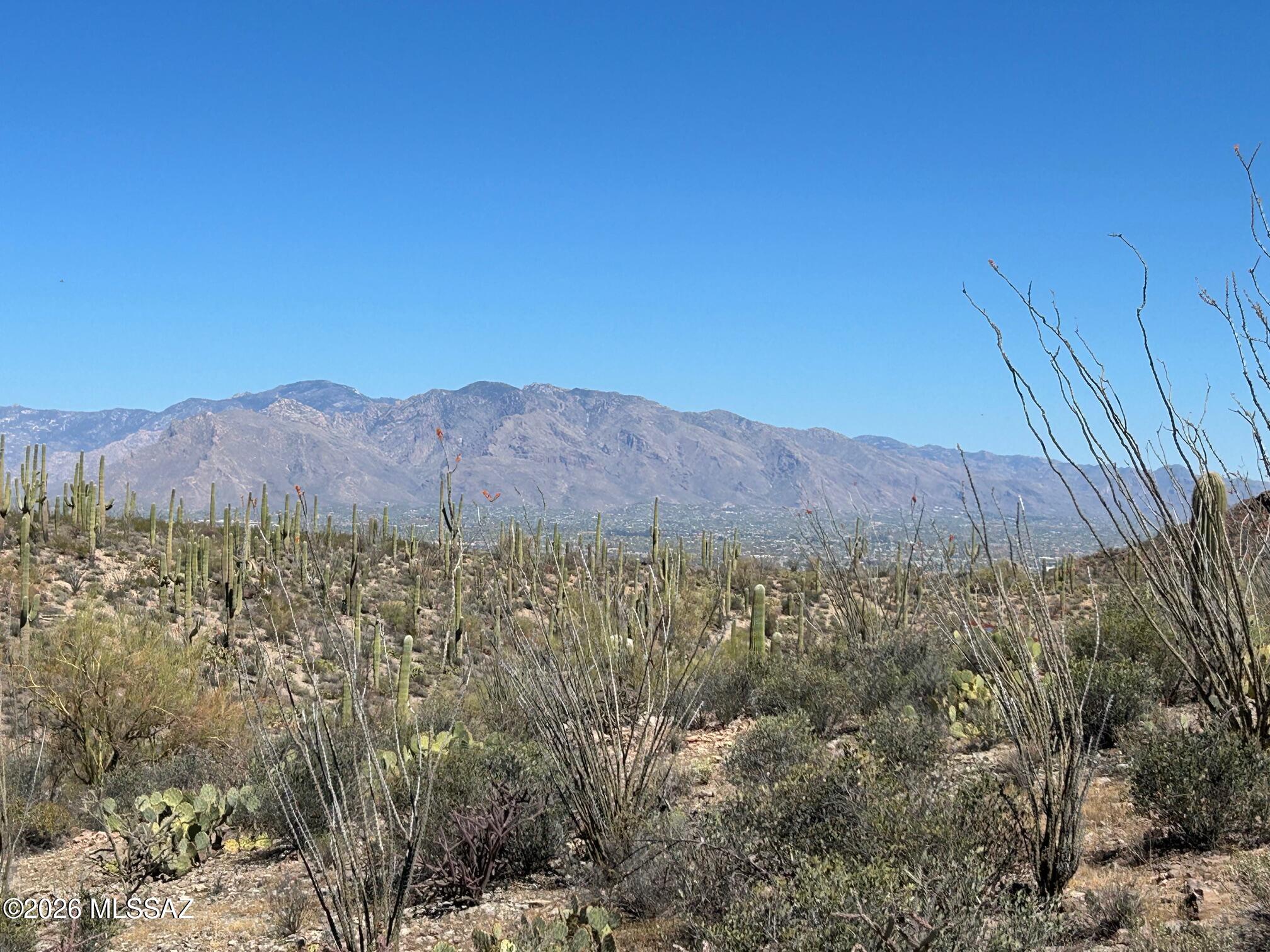 UNIQUE OFFERING Undisturbed, rolling, 20 Acres filled with hundreds of OLD GROWTH SAGUAROS and gorgeous, lush. high desert vegetation. HUGE VIEWS of CITY LIGHTS and SURROUNDING RANGES. Build for PRIVACY or VIEWS around a magnificent, protected peak located on the parcel. See the attached Topo survey for it's exact location. Many possible building sites to choose from. Dividable with Pima County approval and subject to HDZ regulations. Build a one of a kind desert retreat with your own hilltop as a backdrop. Electric only. Must drill or haul . Explore this beautiful parcel or call LA to meet.