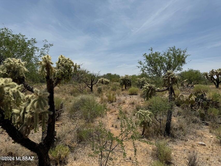 Diamond Bell Ranch - Tucson Unit 6 (1-435) - Land