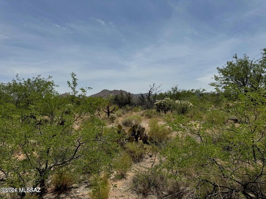Diamond Bell Ranch - Tucson Unit 6 (1-435) - Land