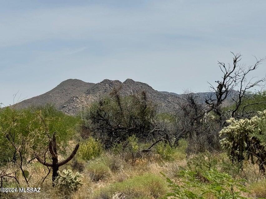 Diamond Bell Ranch - Tucson Unit 6 (1-435) - Land
