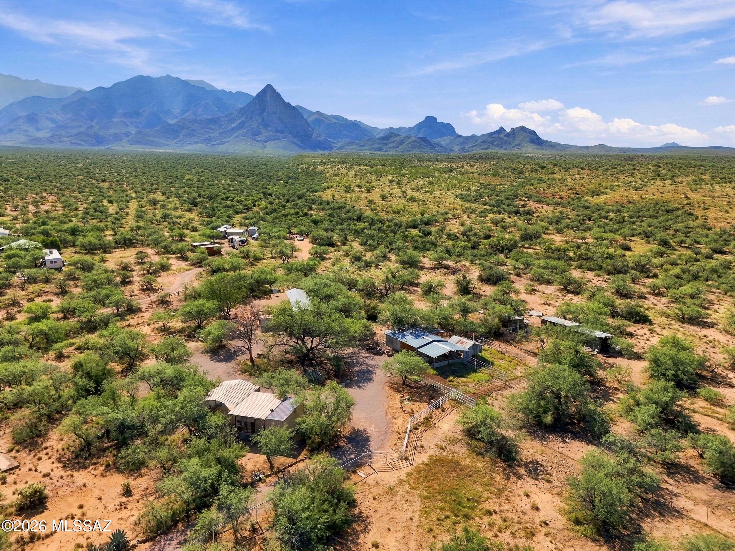 Elephant Head - Residential