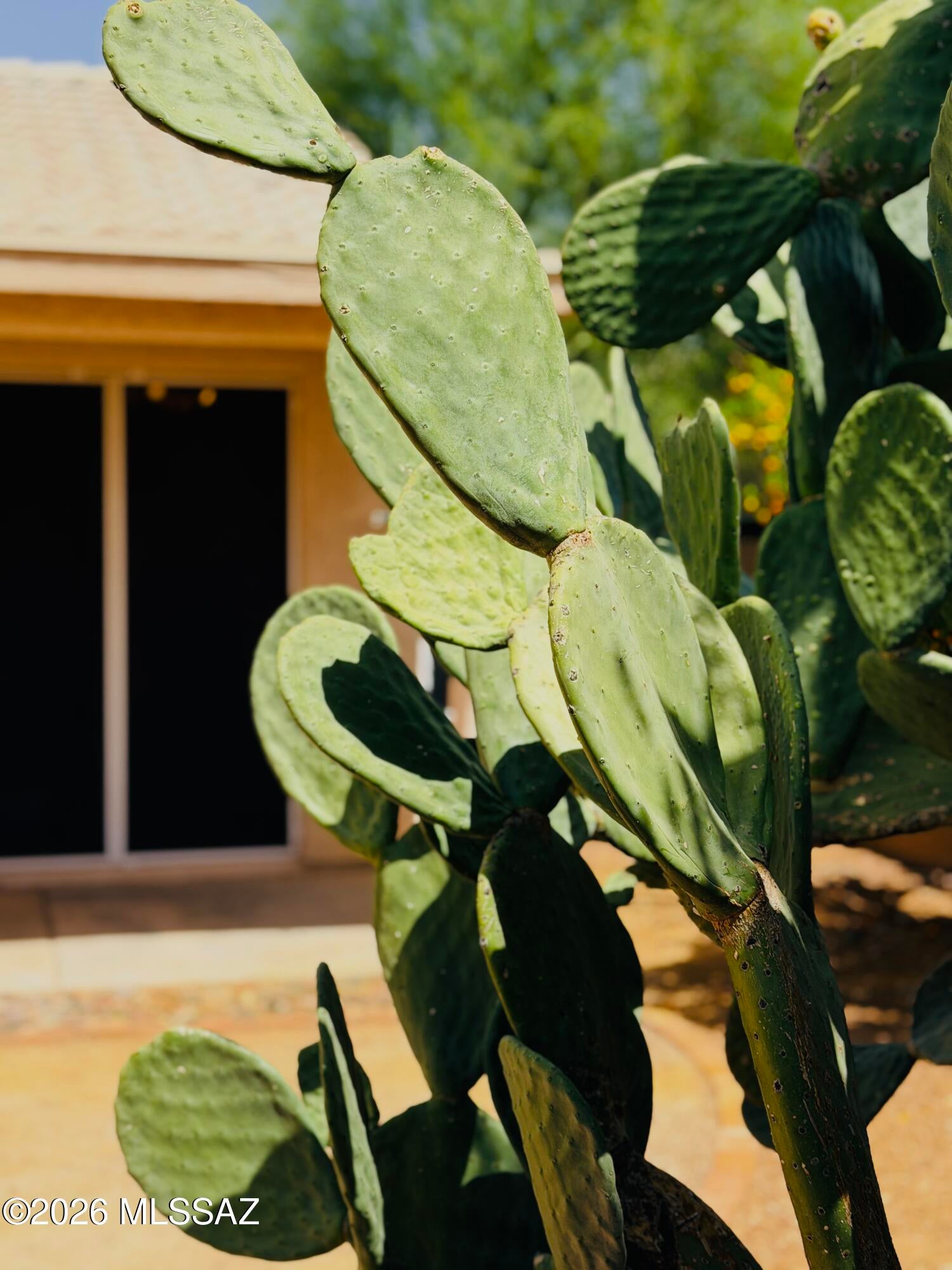 Hacienda Del Oro (1-78) - Residential