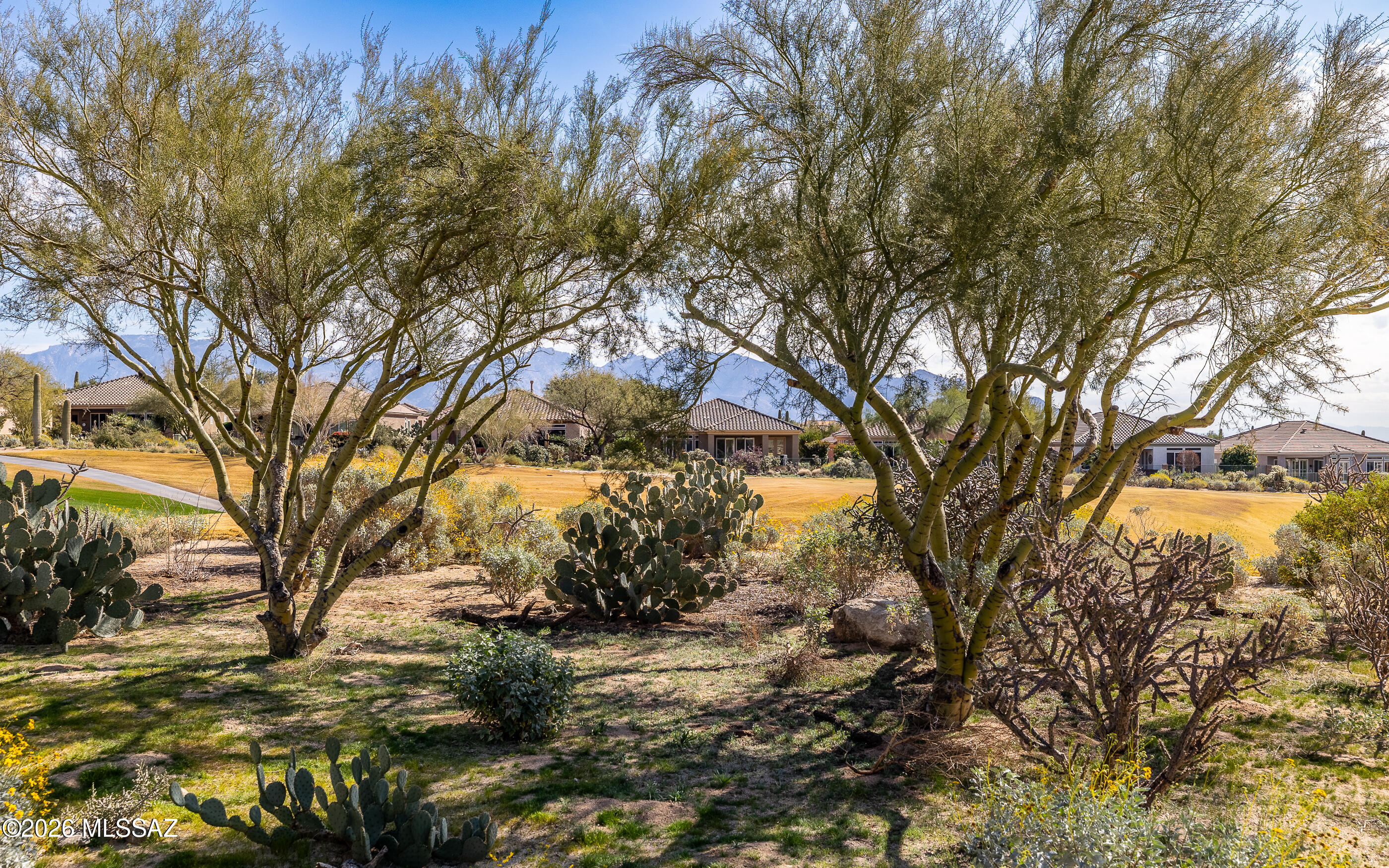 Highly desired east facing backyard with golf course and mountain views- even some distant city lights off to the south. Abundant natural desert buffer between residence and golf course. Lovely morning sun rises. Fully fenced yard w/ extended brick paved patio. All kitchen and laundry appliances convey. Extended Aurora model w/spacious bonus room that is currently set up as office- room could have many uses.  Lovely plantation shutters throughout home. Cozy gas fireplace in family room off kitchen Guest bedroom has bay window. Newer AC recently installed. Furniture in home is available.