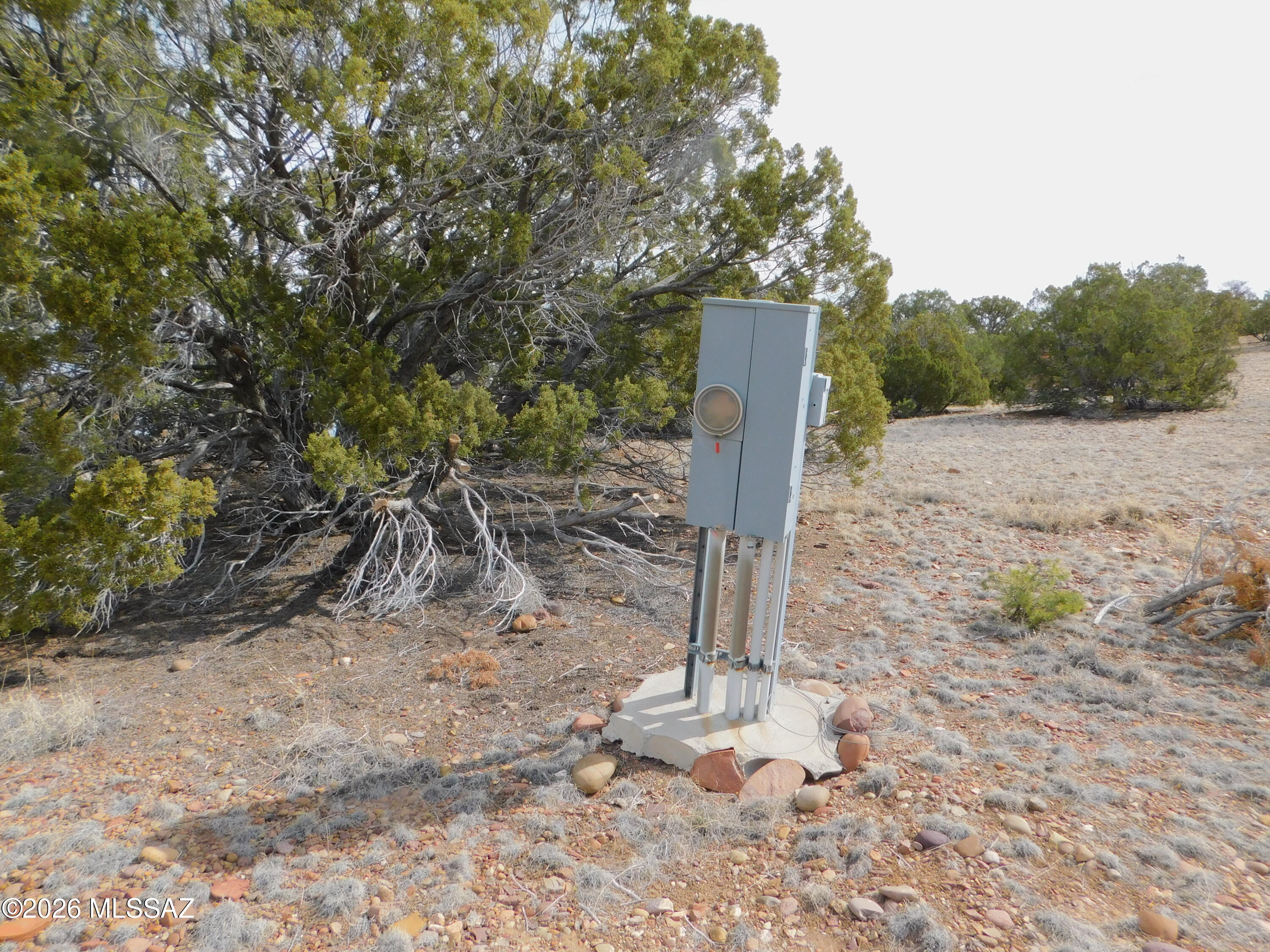 Out Of Pima County - Land