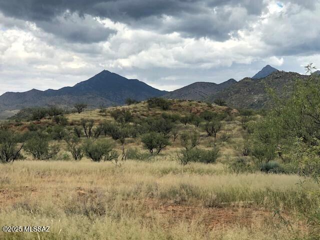 Beautiful 38.75 acre lot with a level building homesite that is waiting for your custom home! Fantastic views of the Santa Rita mountains and is also tucked away near the Grosvenor hills. Enjoy wonderful hikes, go horseback riding or explore the nearby ghost town. This lot is a short distance to the Coronado National Forest, has easy access and has underground power located at the edge of the property. This exclusive gated community of 36+ acre homesites is situated between Tubac and Patagonia. It is surrounded by the lush foothills of the Santa Rita Mountains to the north and the Grosvenor Hills to the south. You will find spectacular estate homes and an emphasis on the region's best-preserved natural beauty. Please call today for more information and to schedule your private showing.
