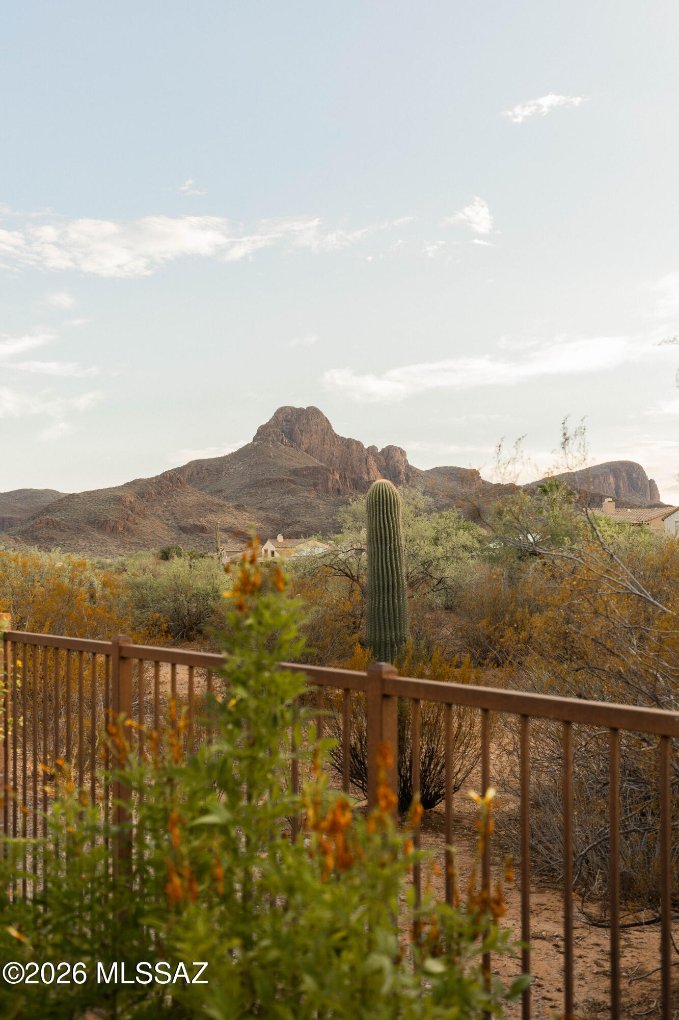 Price Drop $10K, Amazing Meritage-built home on a premium lot in highly sought-after Continental Reserve! Enjoy breathtaking views of Sombrero Peak & spectacular AZ sunsets from your private backyard, w/ natural desert habitat behind the home providing added privacy & a peaceful setting for relaxing or entertaining. Inside, you'll find soaring ceilings, an open-concept floor plan. The spacious kitchen features granite countertops, a large island w/ breakfast bar, stainless steel appliances (including a recently replaced refrigerator), & overlooks great room, breakfast nook, & formal dining area. The desirable split-bedroom floor plan offers added privacy. Ceiling fans throughout & exterior painted in 2025. The tandem garage includes built-in cabinets, making it ideal for a workshop, crafts storage, or extra vehicle space. Beautifully maintained and truly move-in ready--this is a must-see home! Show and sell!