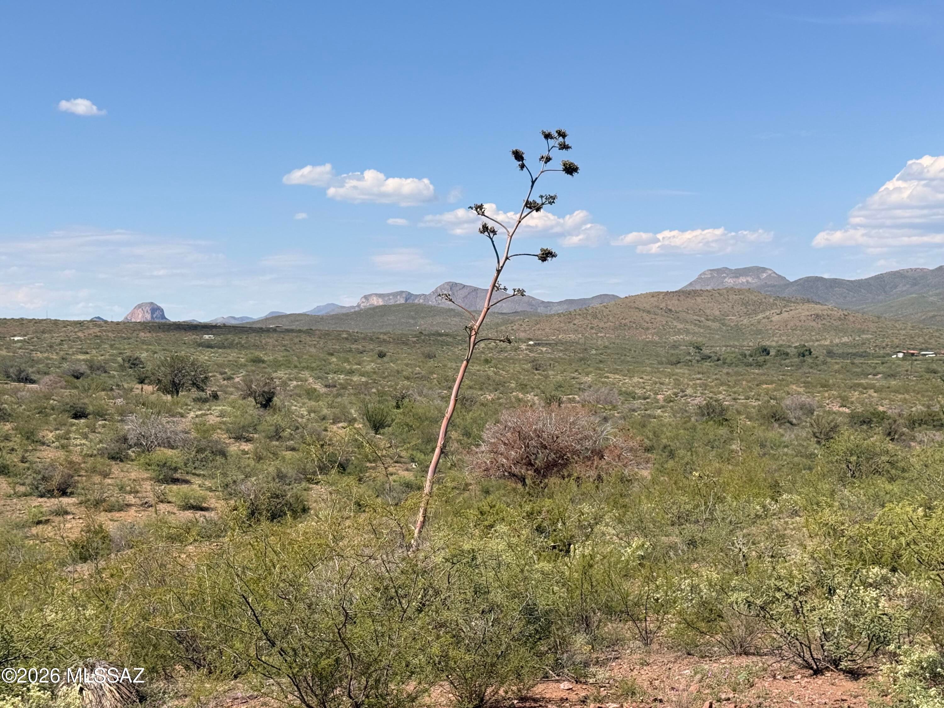 Out Of Pima County - Land