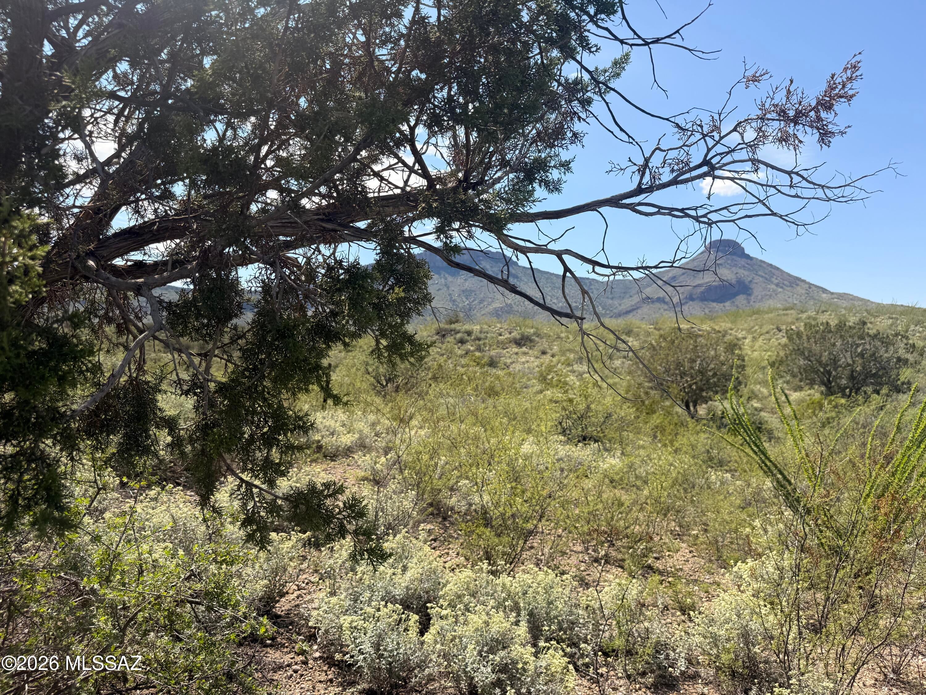 Out Of Pima County - Land