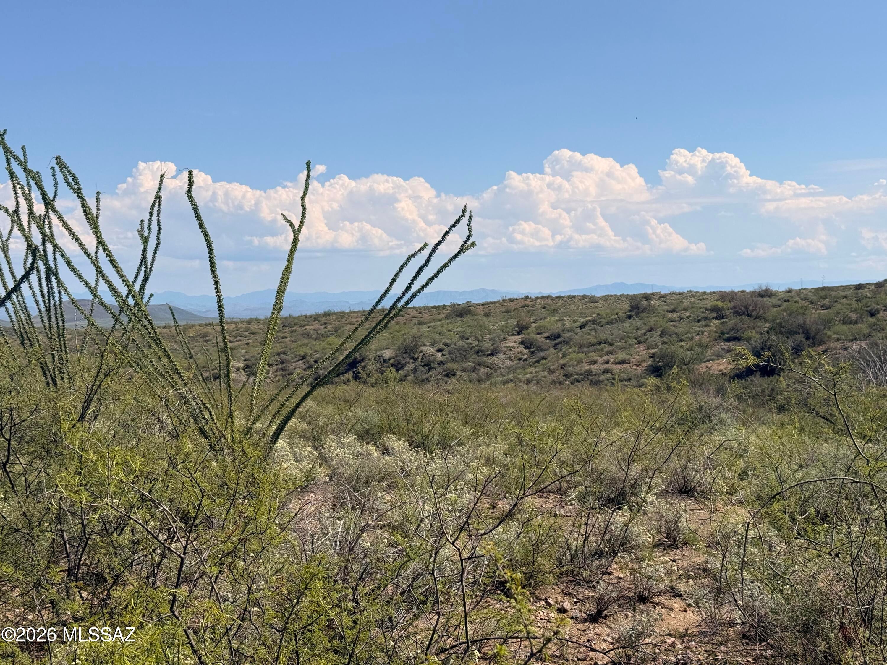 Out Of Pima County - Land