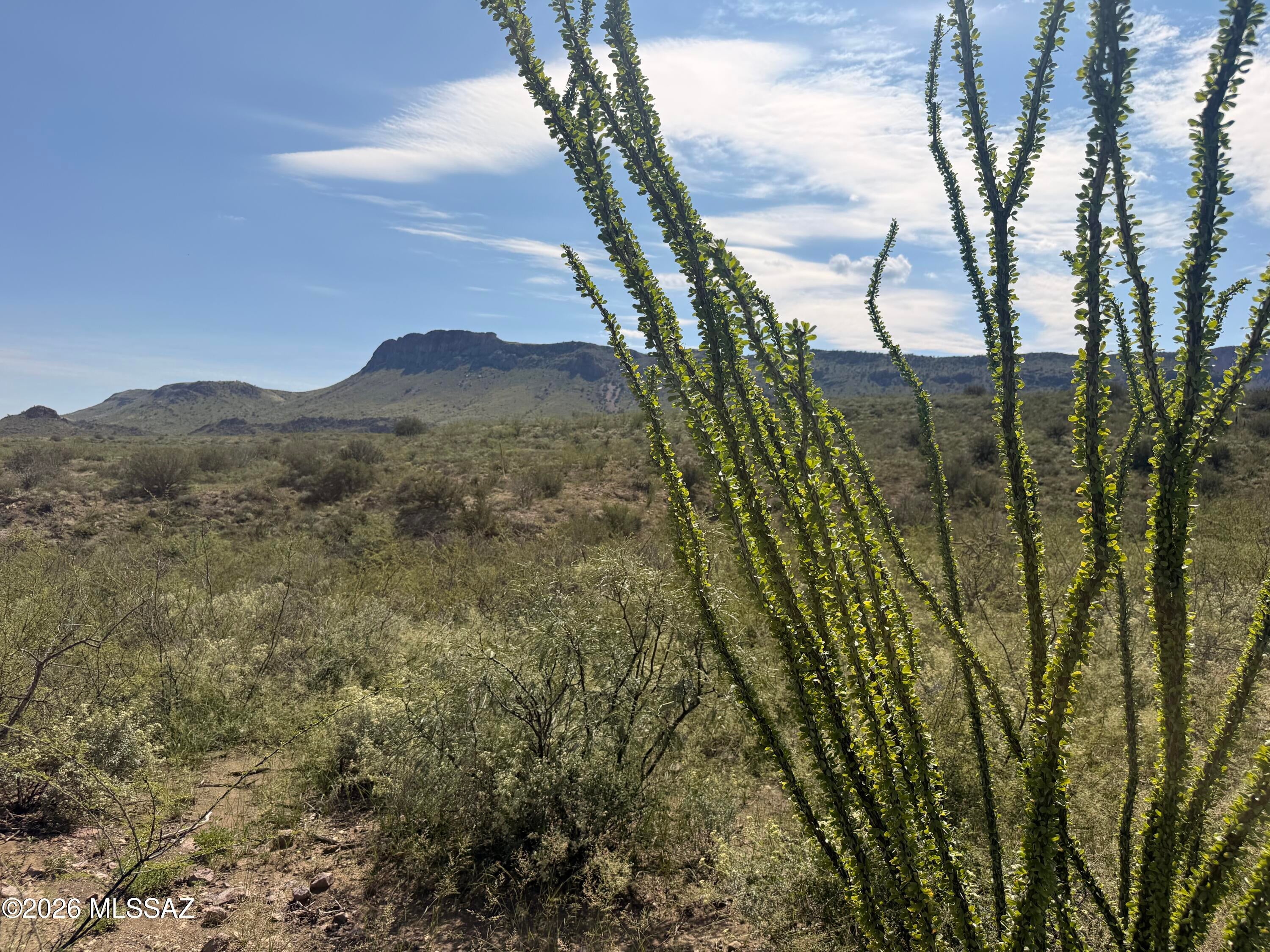 Out Of Pima County - Land
