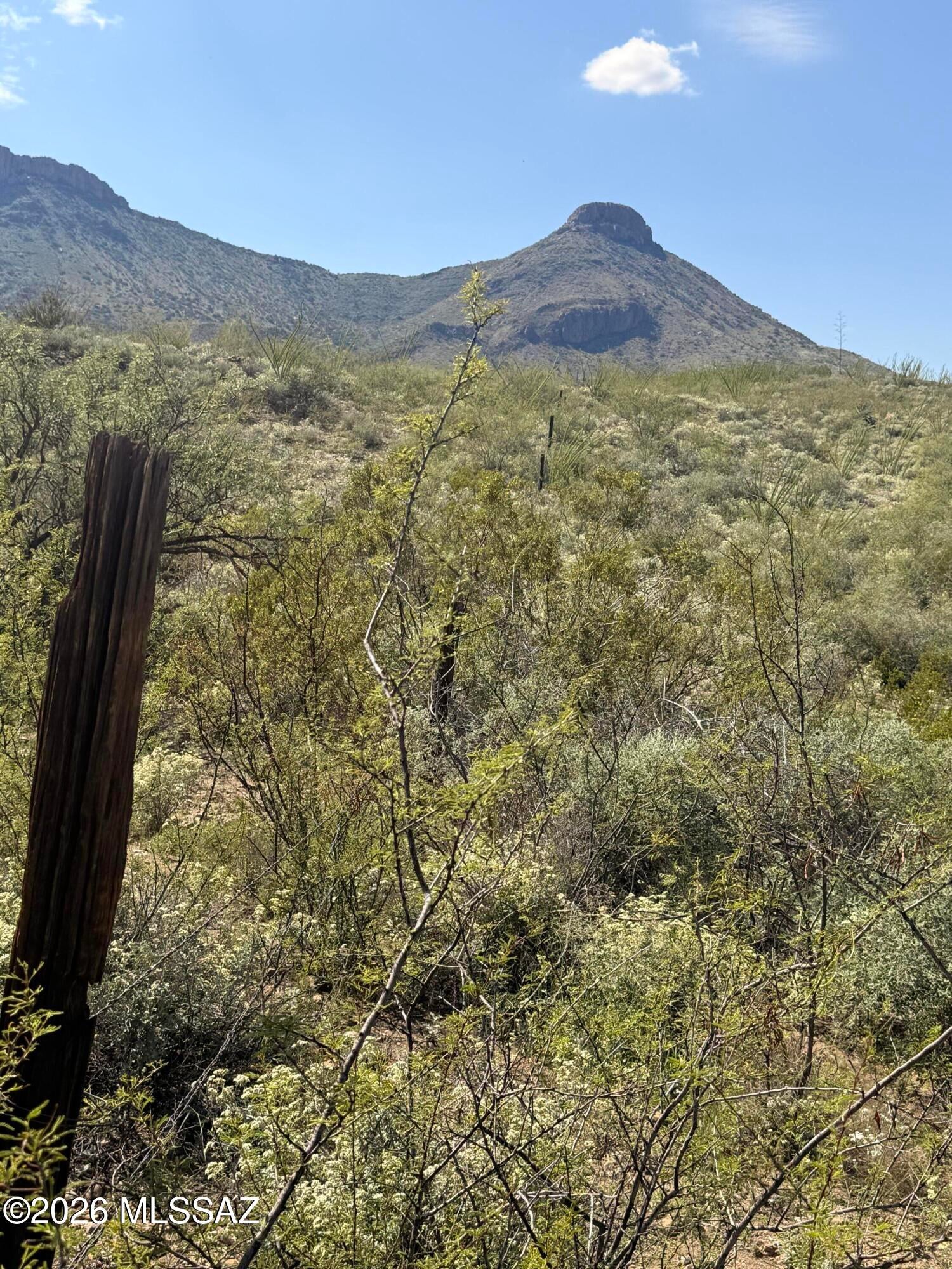 Out Of Pima County - Land