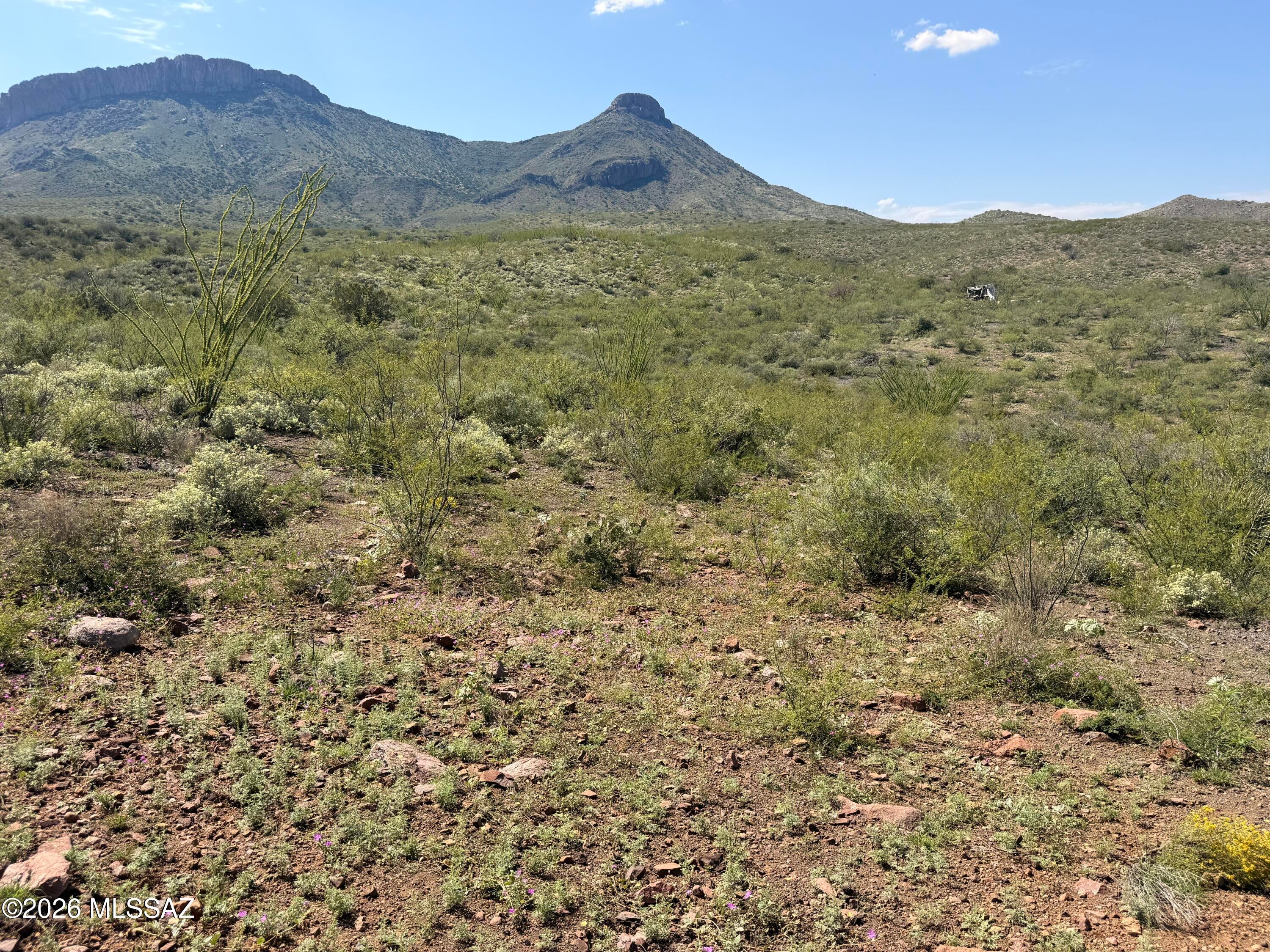 Out Of Pima County - Land