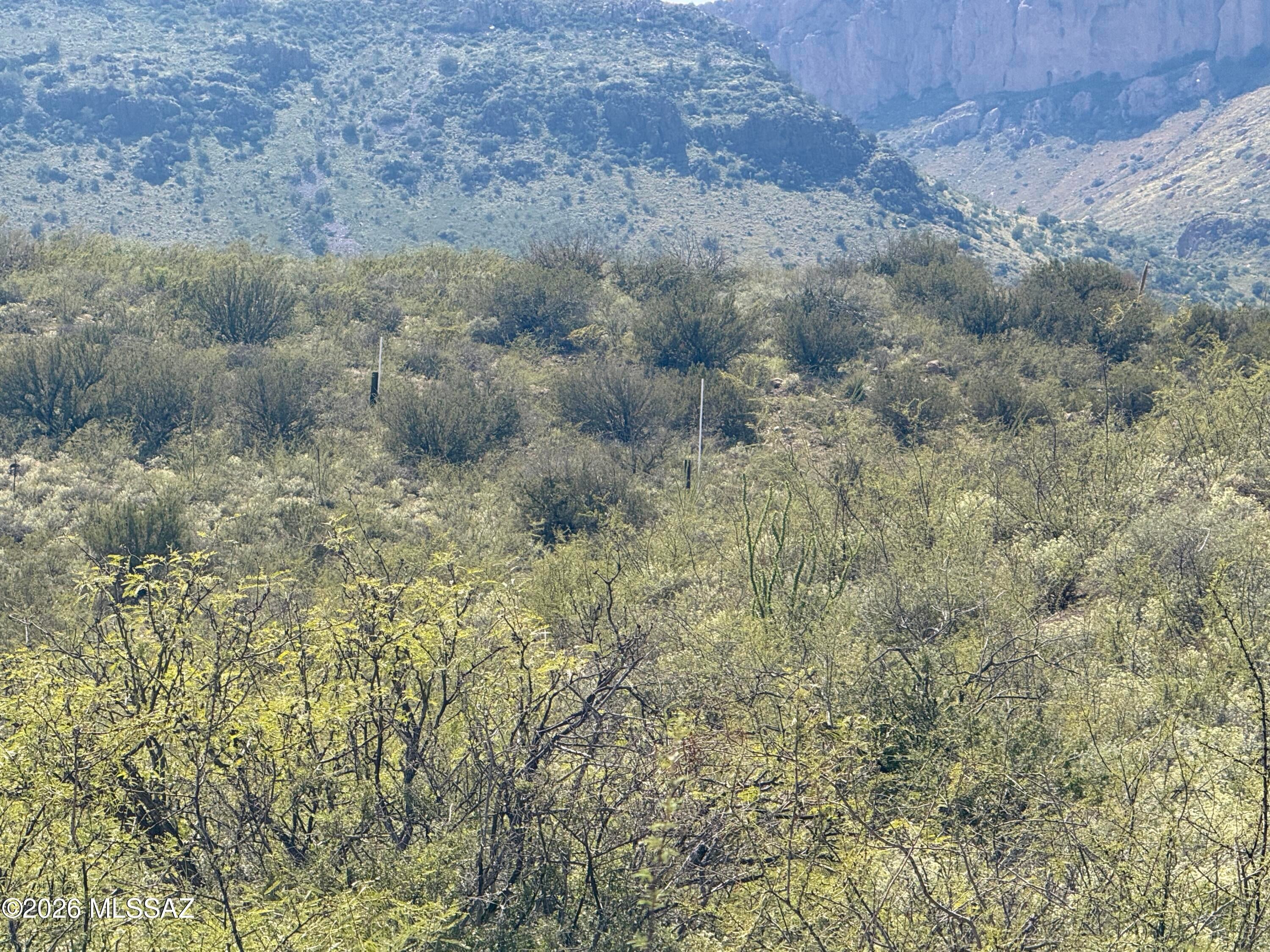 Out Of Pima County - Land
