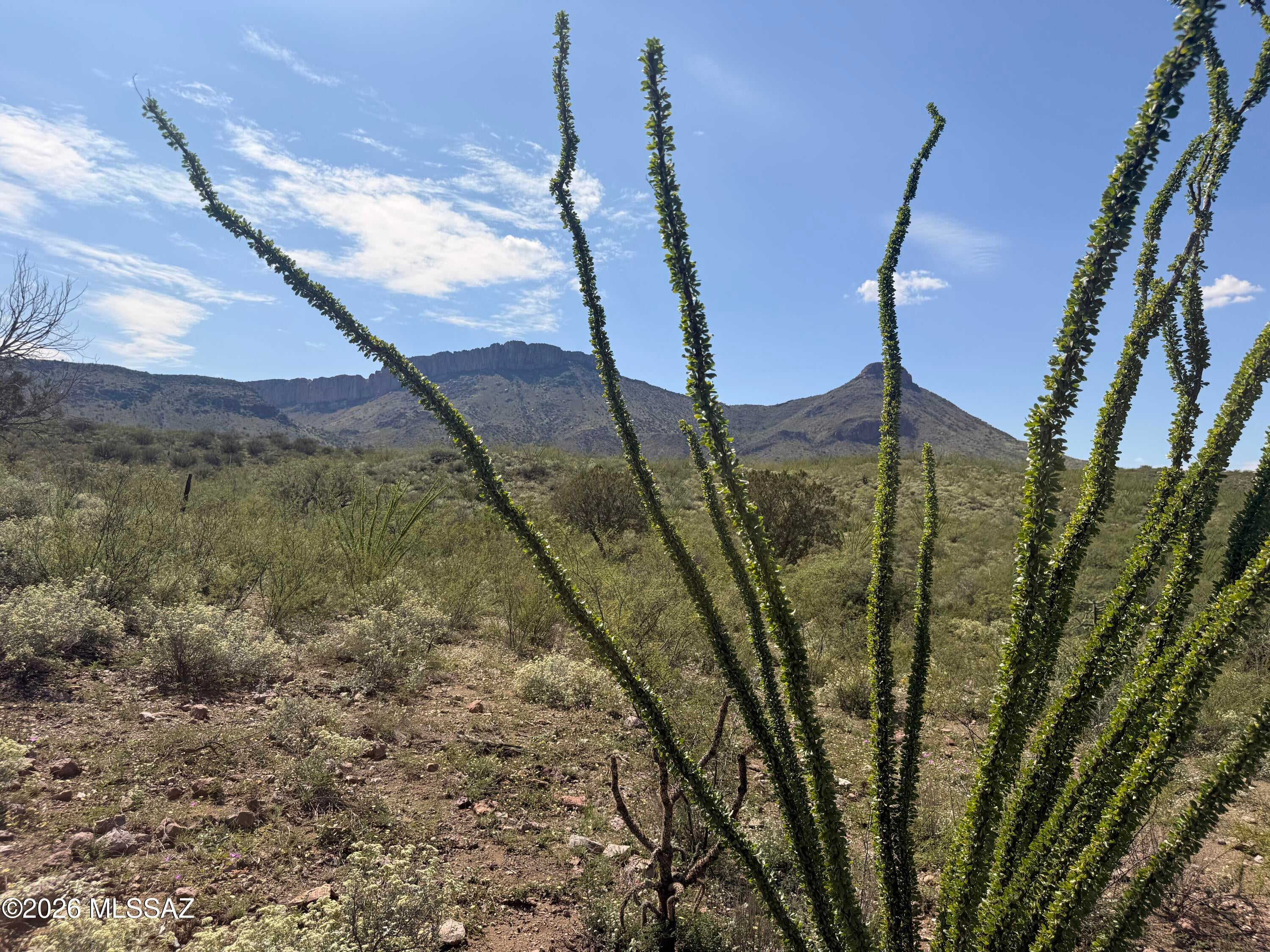 Out Of Pima County - Land