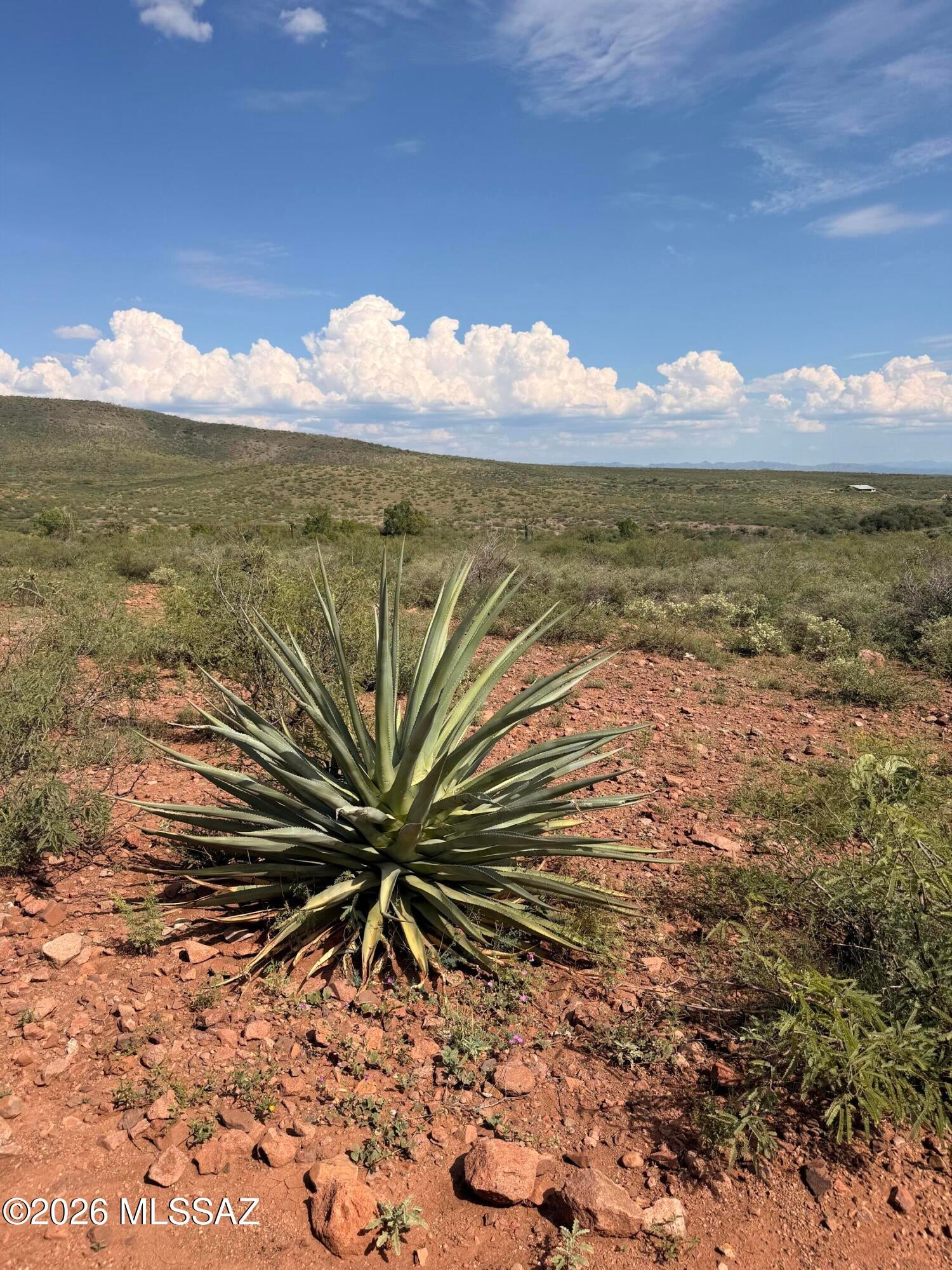 Out Of Pima County - Land
